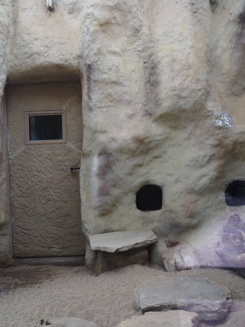 Meerkat indoor housing, 2024-08-05