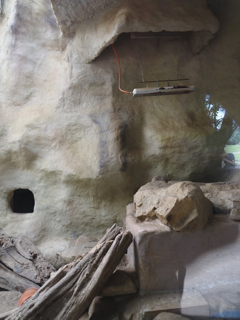 Meerkat indoor housing, 2024-08-05