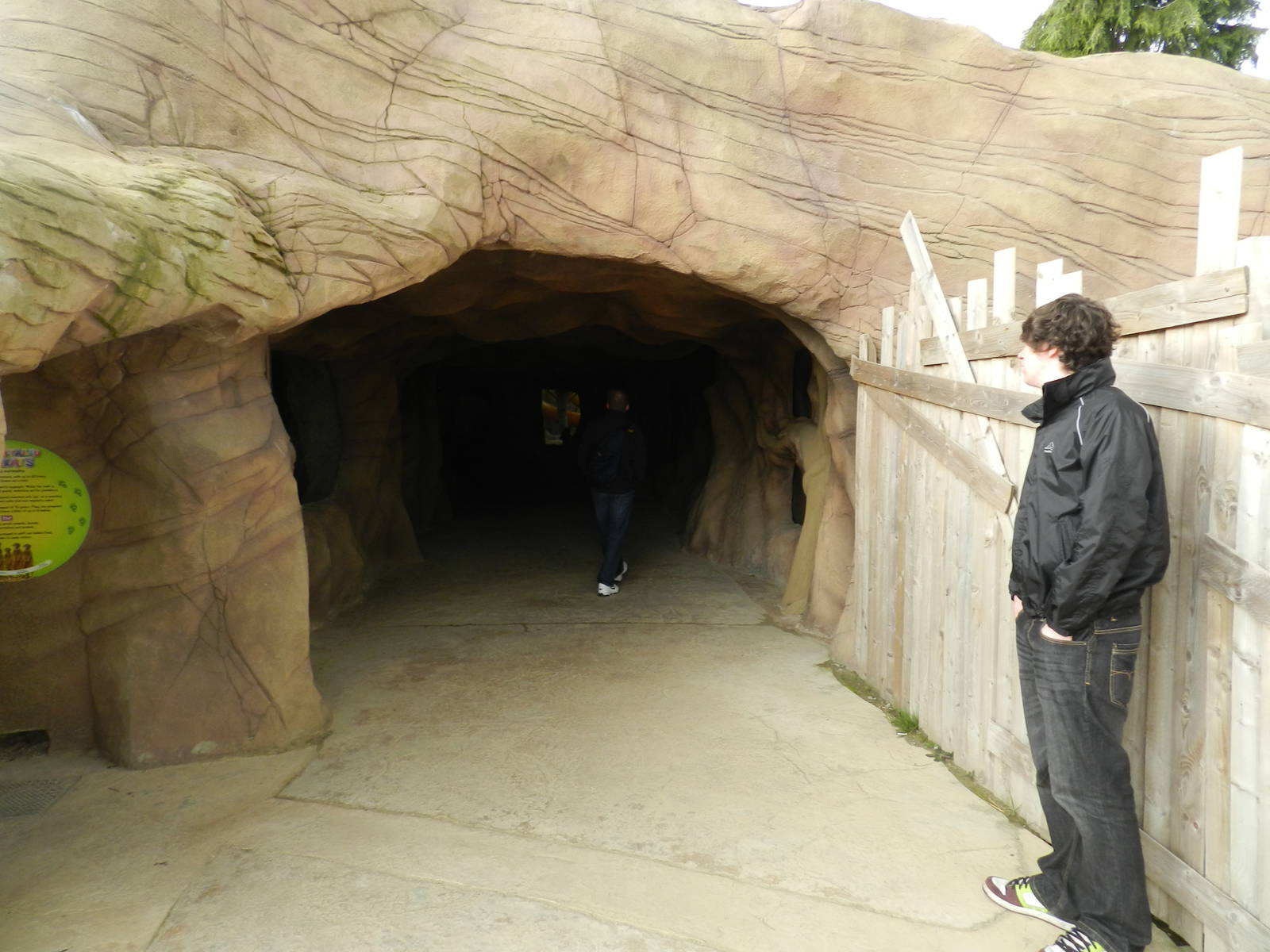 Meerkat Indoor Viewing at Flamingo Land - 14/10/2012