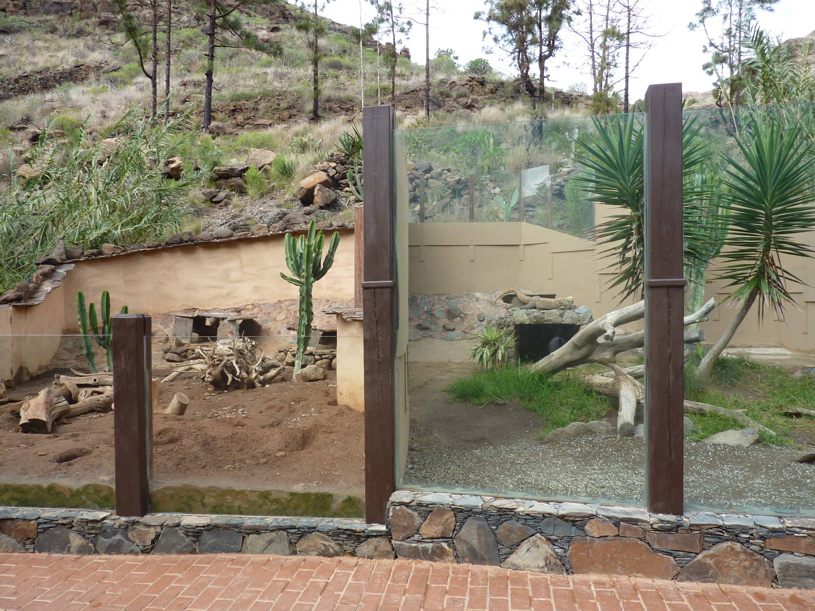 Meerkat (l) and Komodo dragon (r) enclosures
