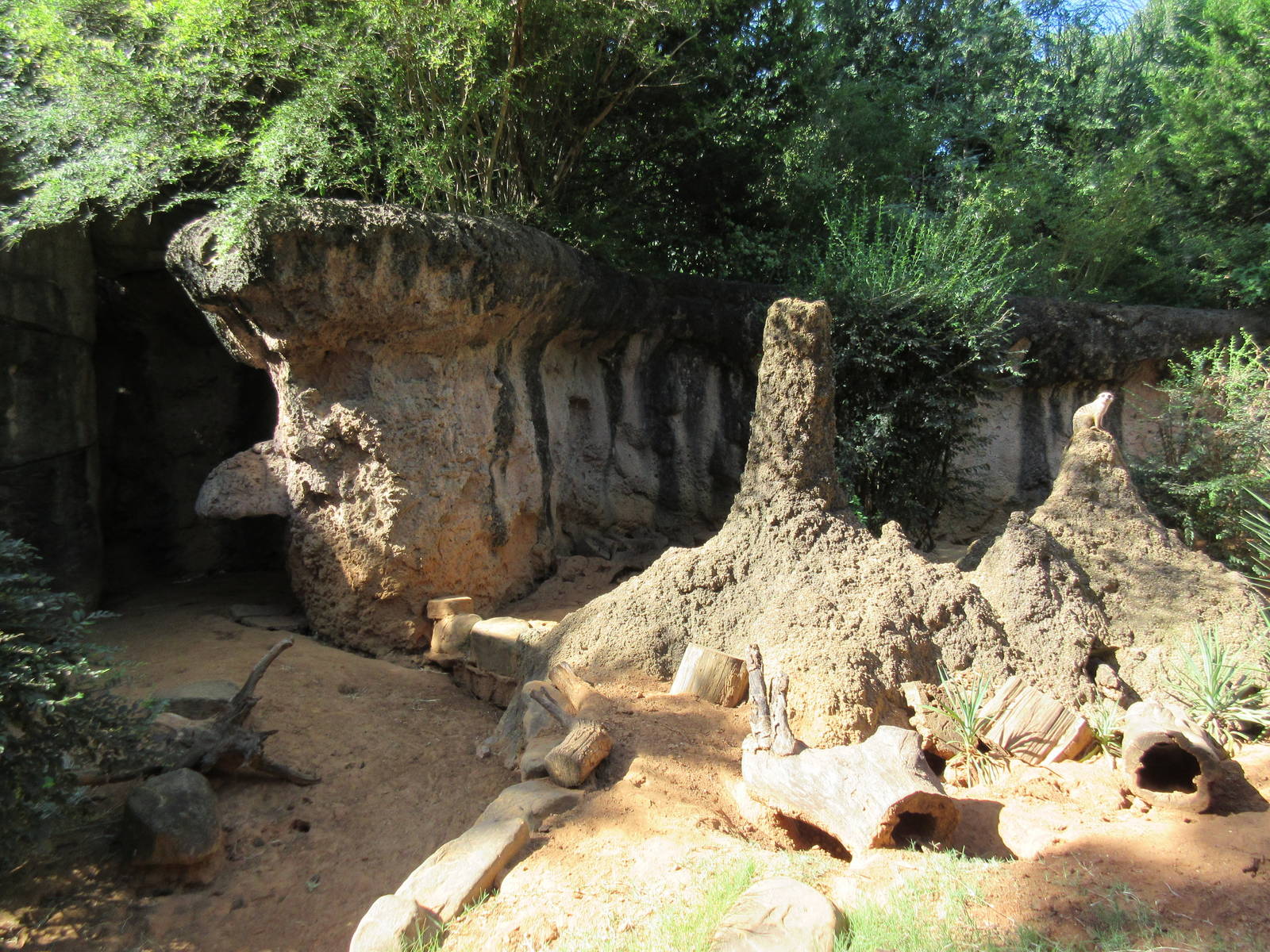 Meerkat/Leopard Tortoise Exhibit