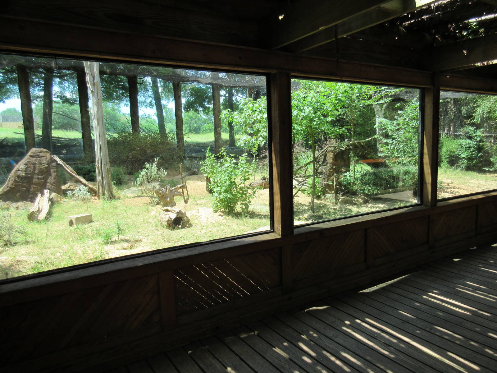 Meerkat/Leopard Tortoise Exhibit