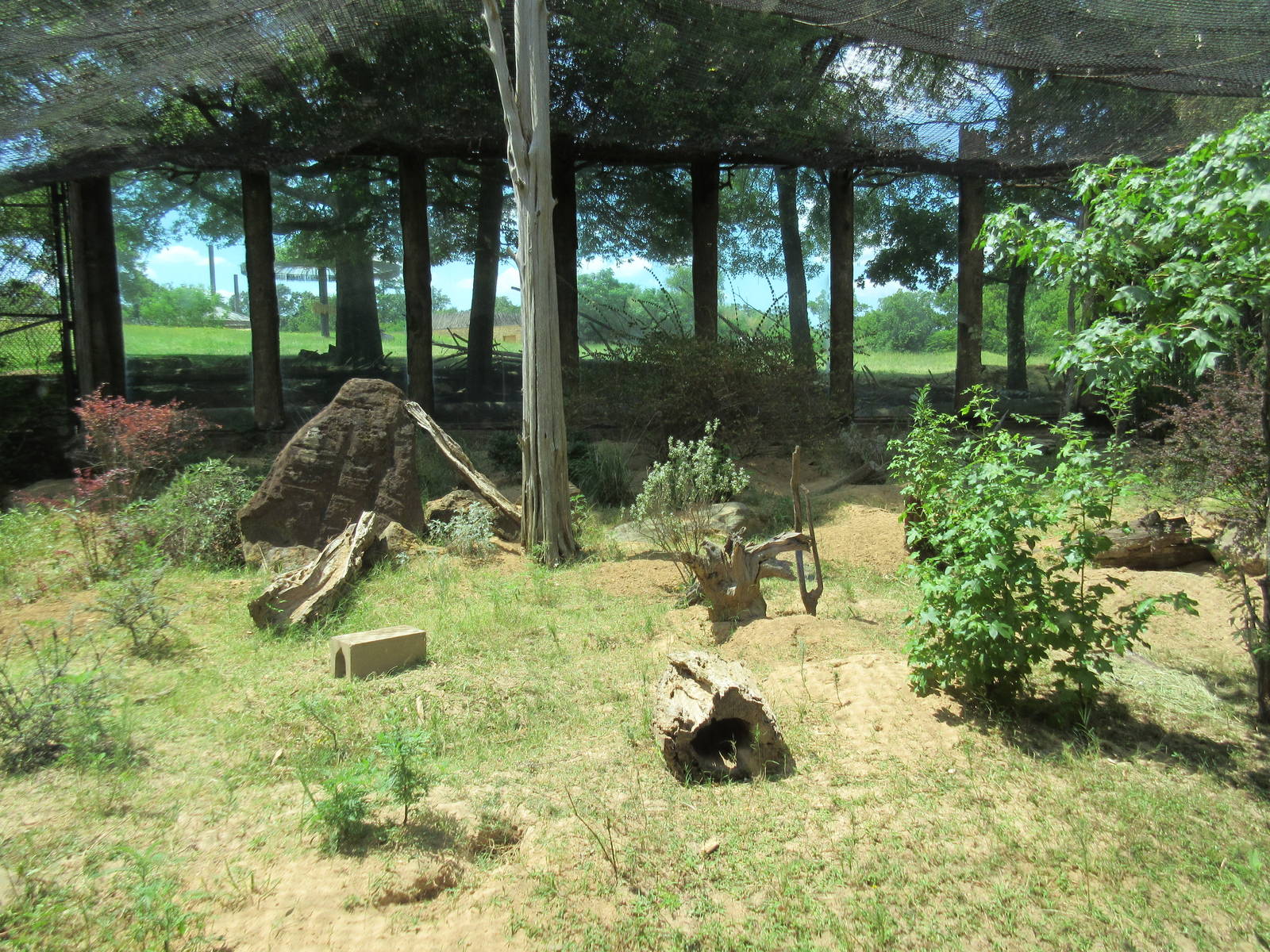Meerkat/Leopard Tortoise Exhibit