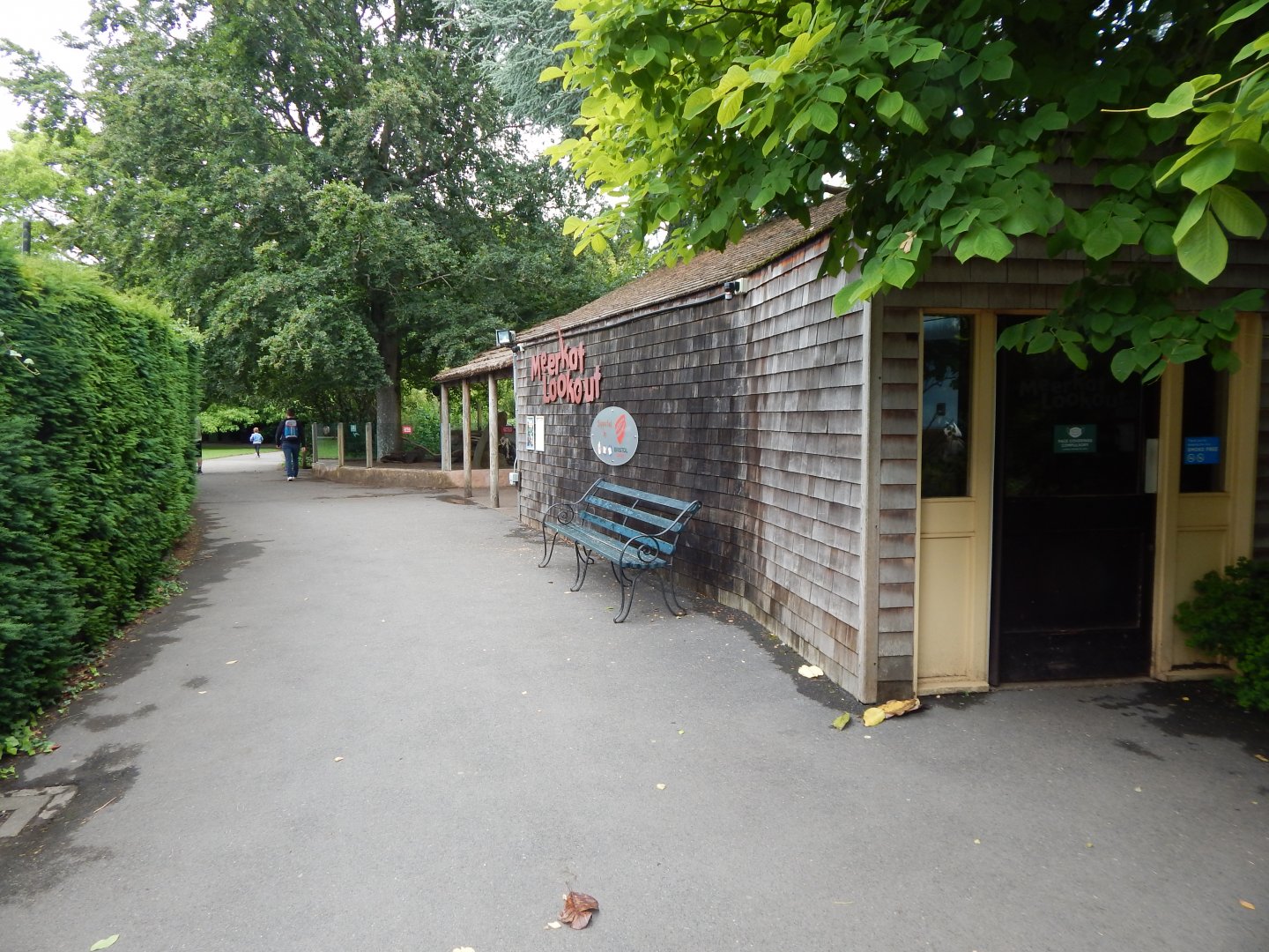 Meerkat Lookout 190622