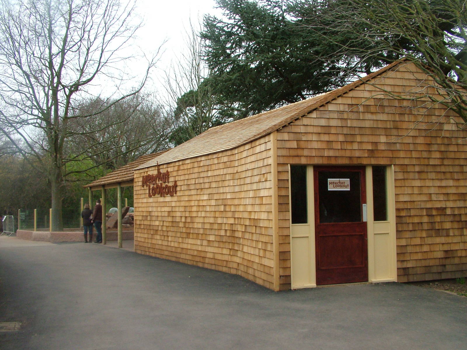 Meerkat Lookout at Bristol, 06/03/11
