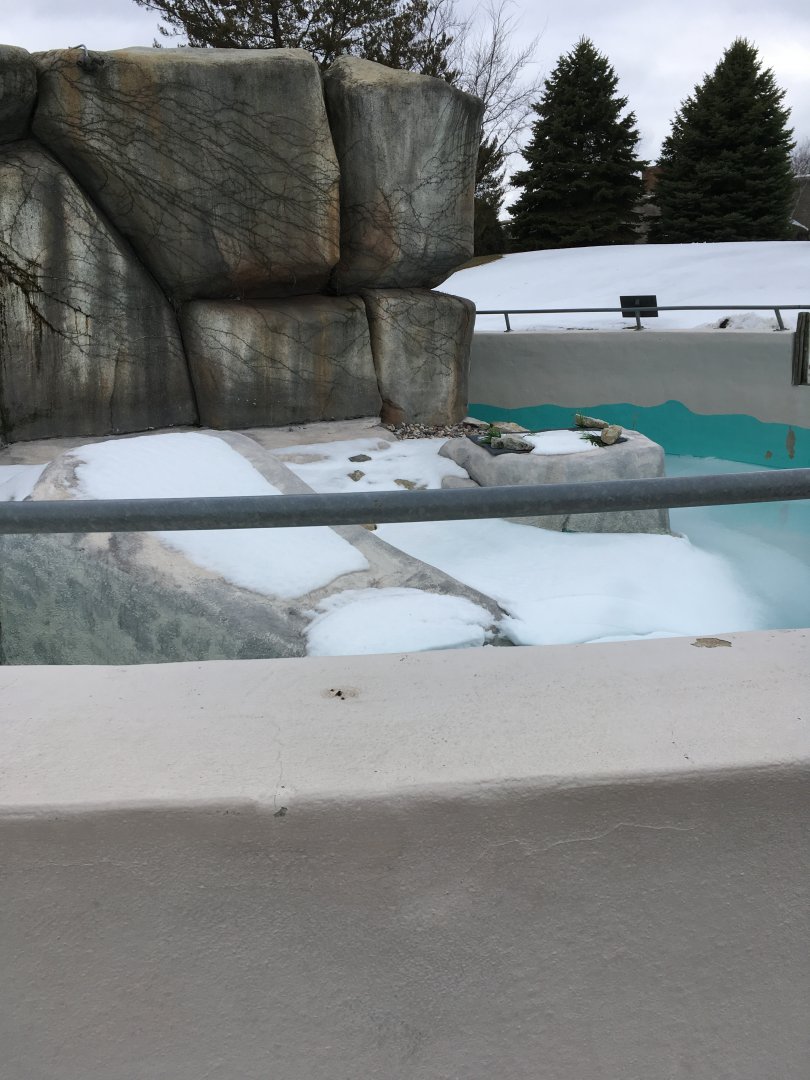 Meerkat Mannor - African Penguin Exhibit