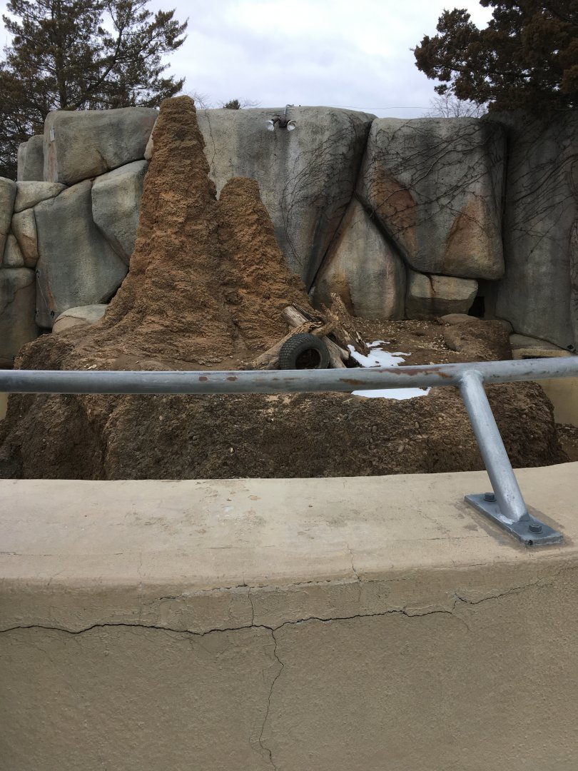 Meerkat Mannor - Meerkat Exhibit