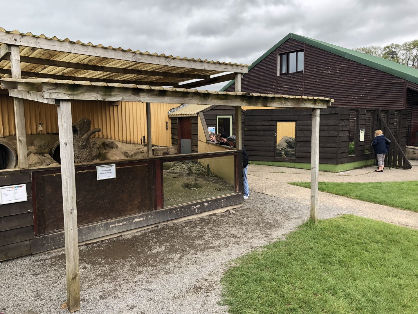 Meerkat & Mongoose Enclosures at Lake District Wildlife Park (May 2019)