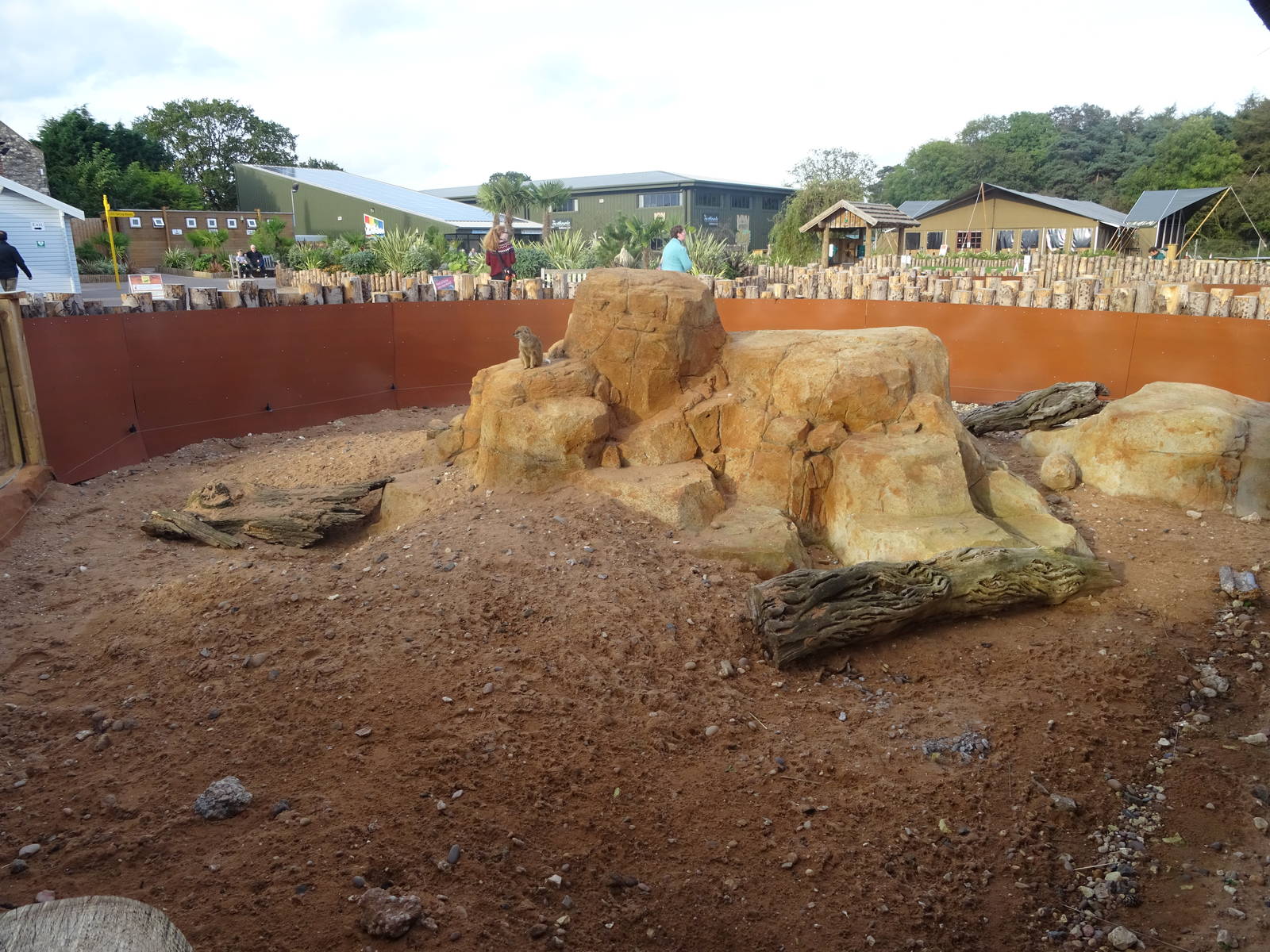 Meerkat/Mongoose Exhibit at Yorkshire Wildlife Park