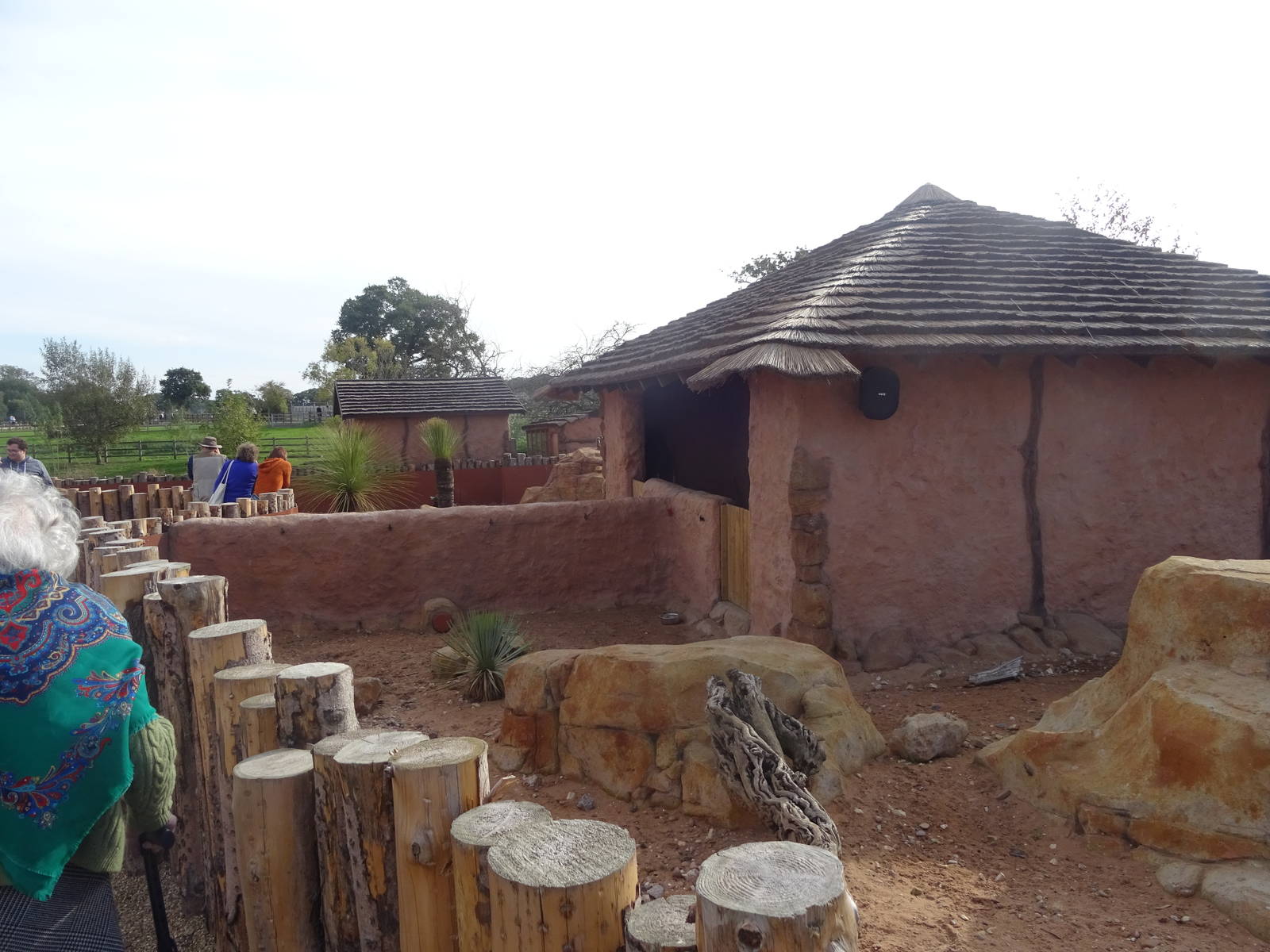Meerkat/Mongoose Exhibits at Yorkshire Wildlife Park