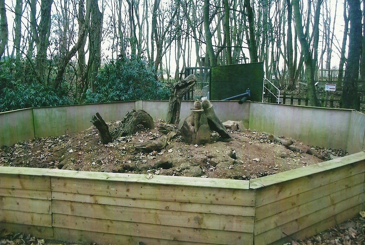 Meerkat Mountain, 1st November 2013