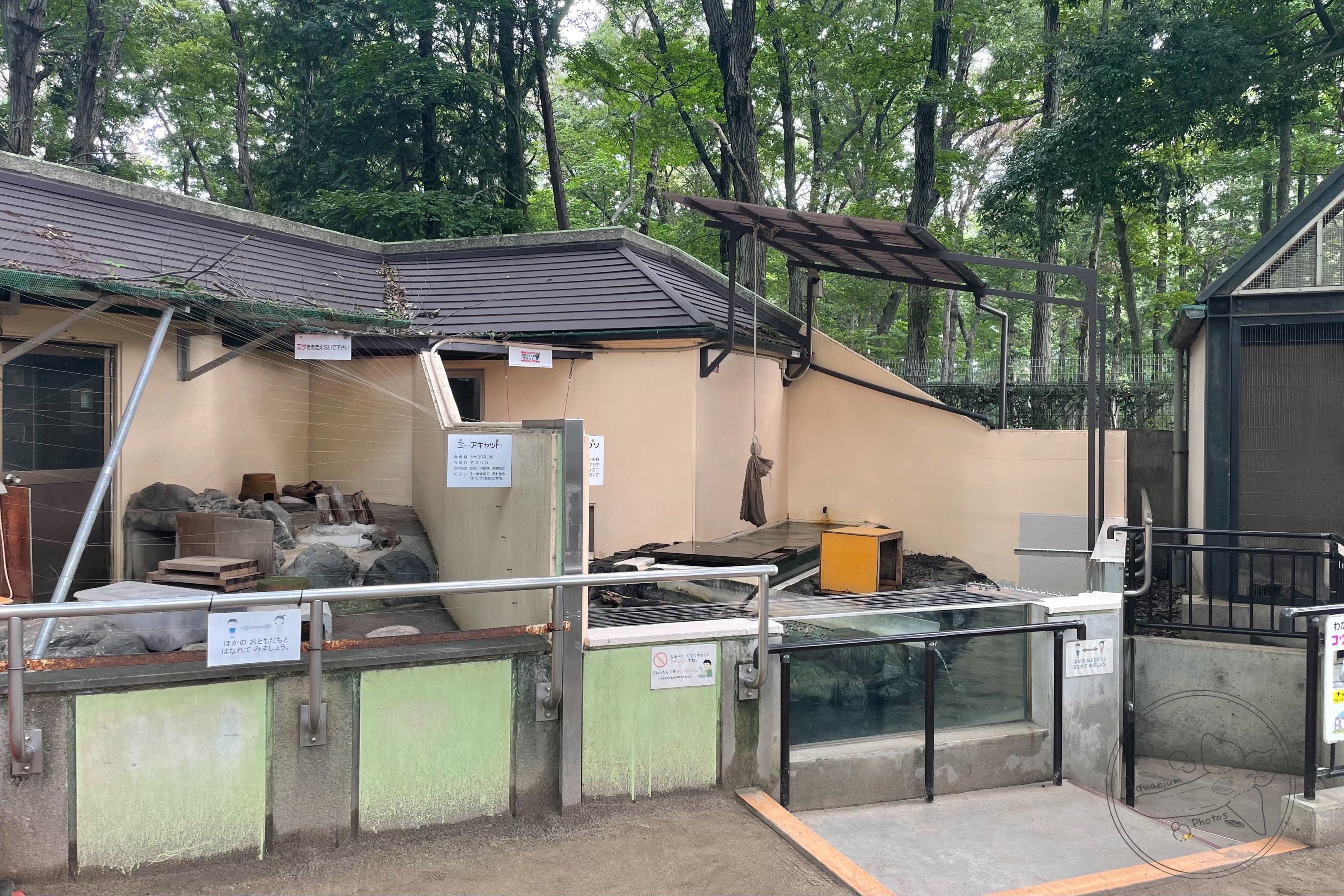 Meerkat / Otter Exhibit