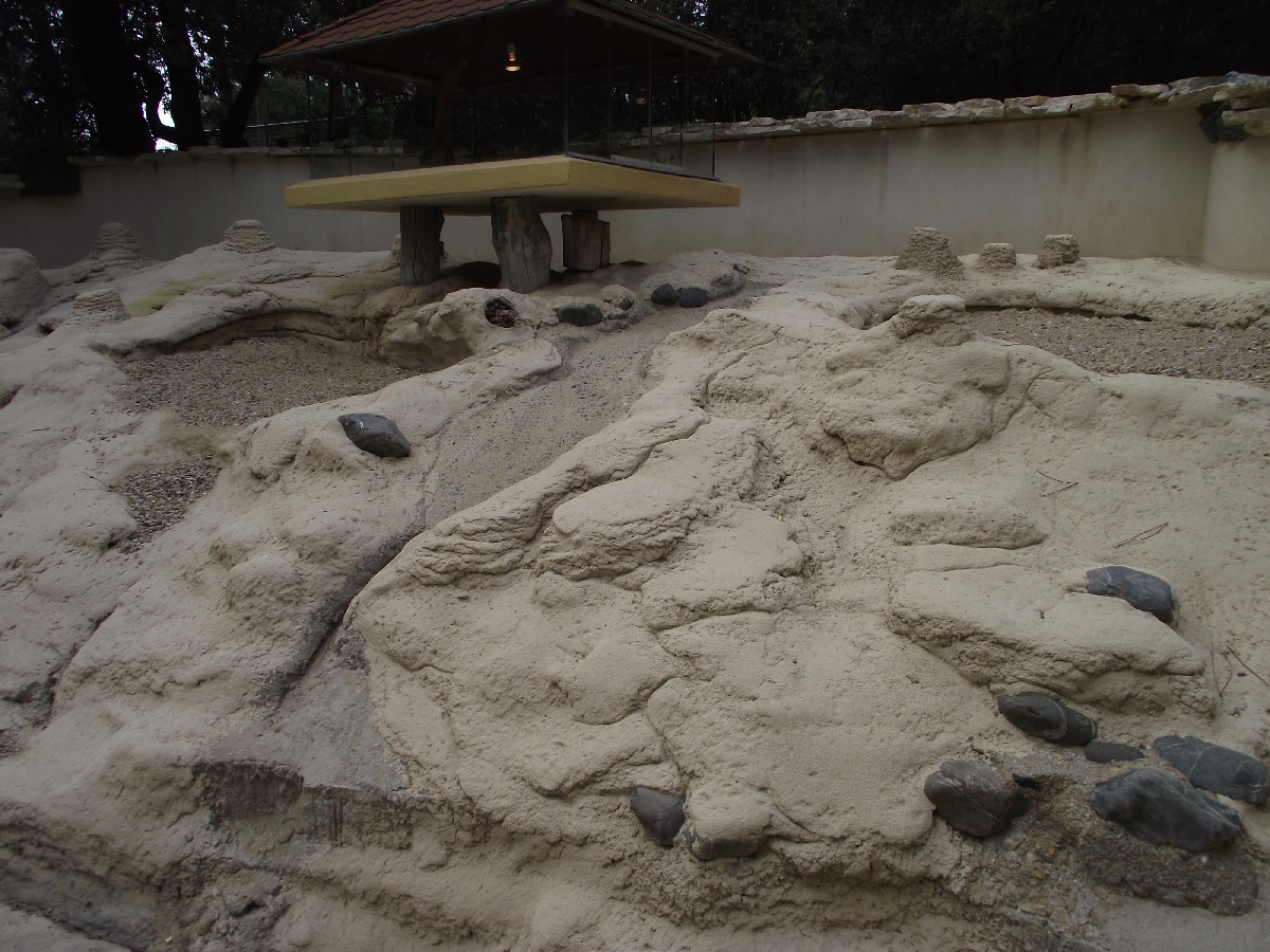 Meerkat Outdoor Enclosure