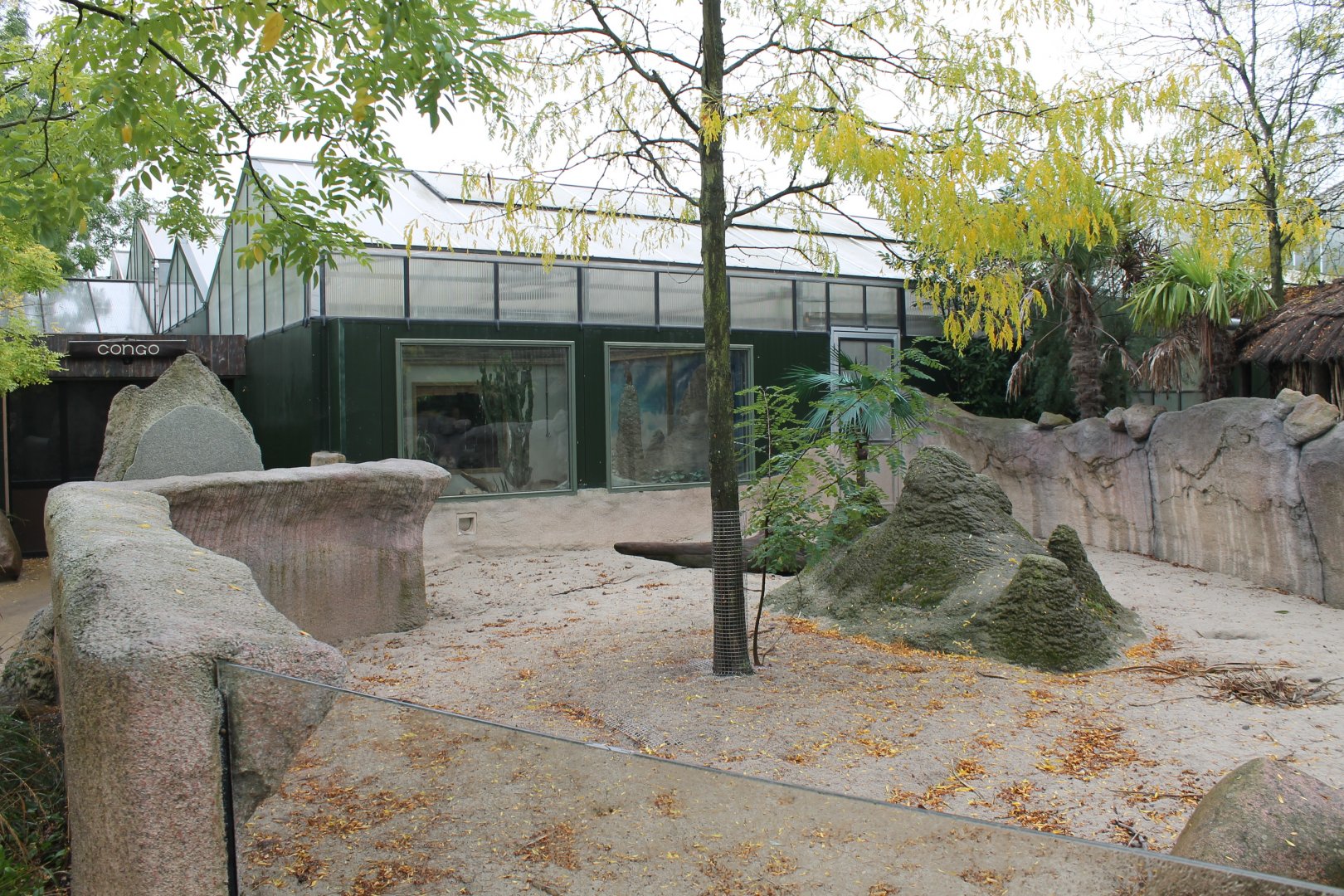 Meerkat outdoor-enclosure