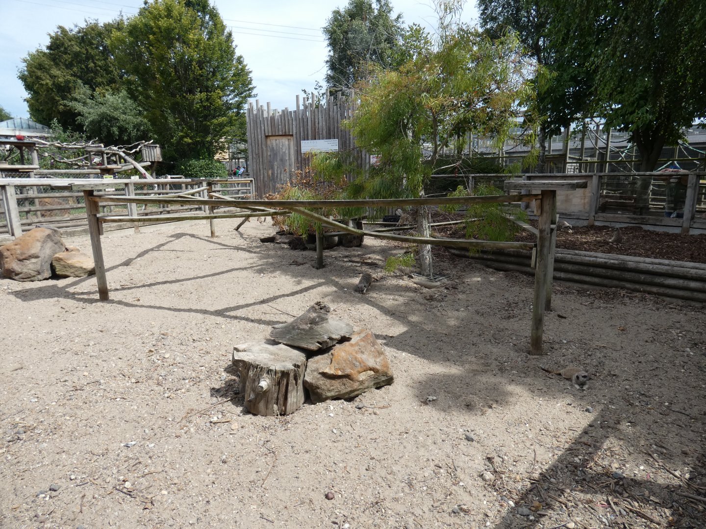 Meerkat outdoor enclosure