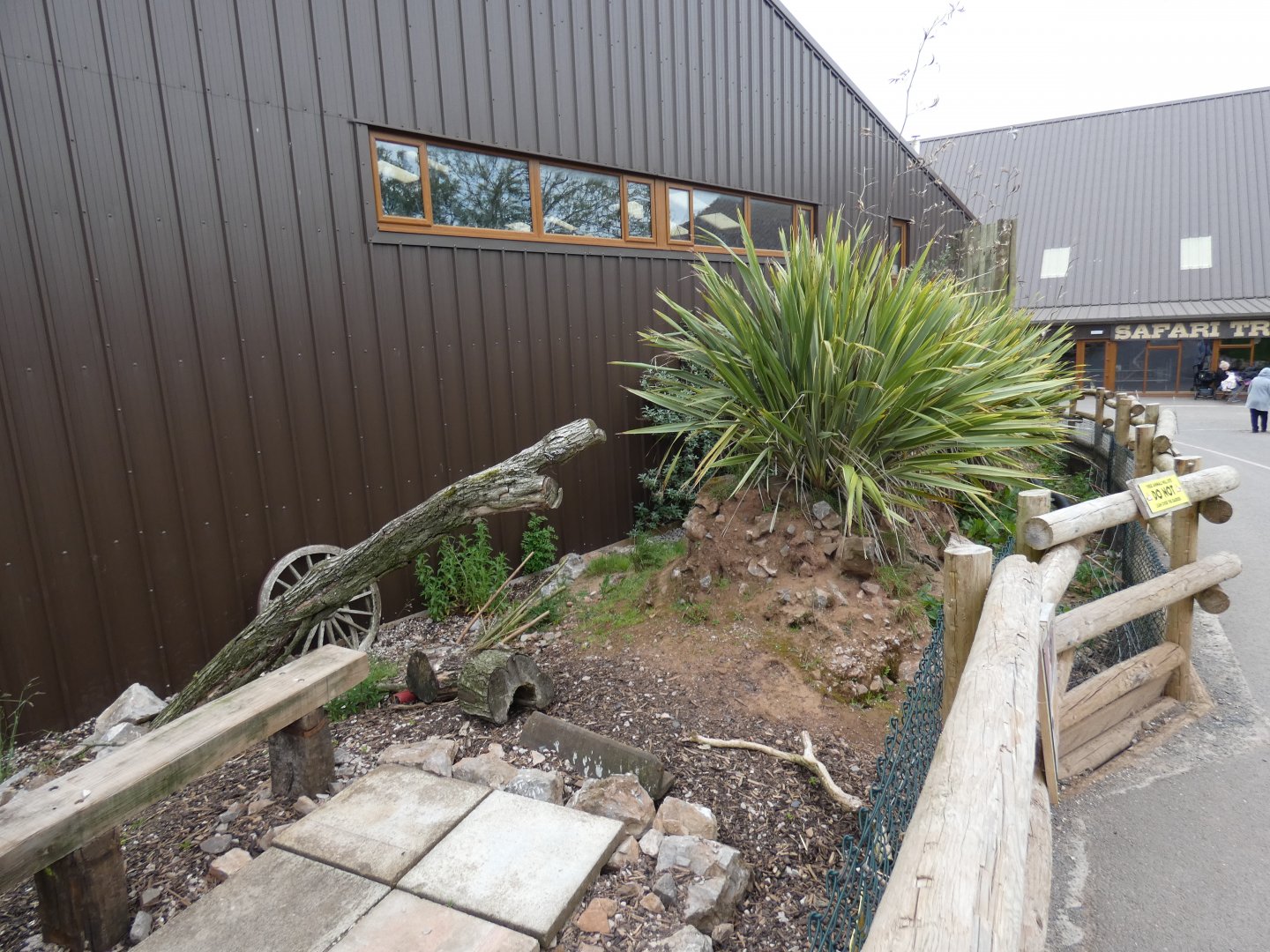 Meerkat outdoor enclosure