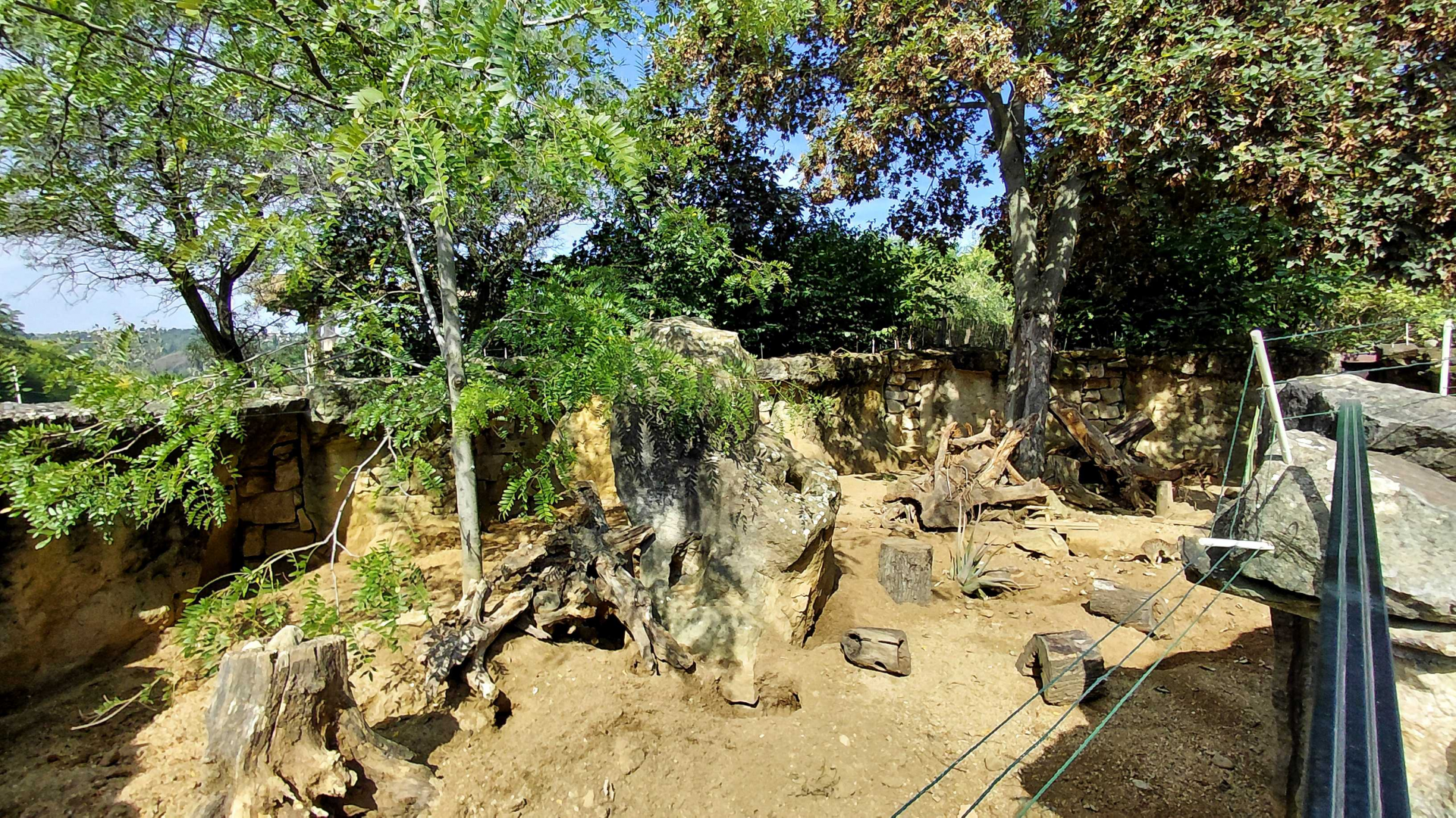 Meerkat outdoor exhibit