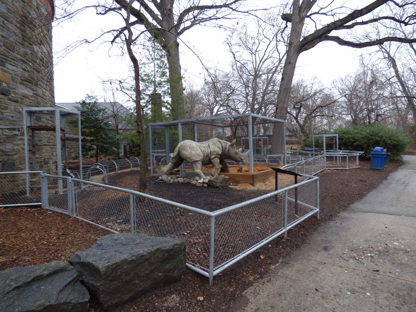 Meerkat Outside Exhibit - January 2017