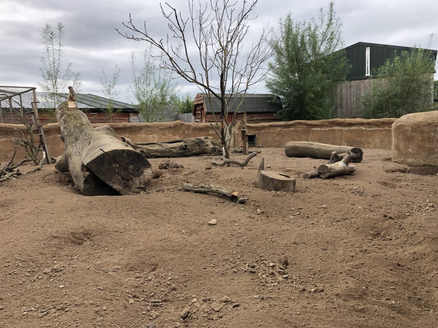 Meerkat/Porcupine Enclosure at Northumberland Country Zoo (September 2021)