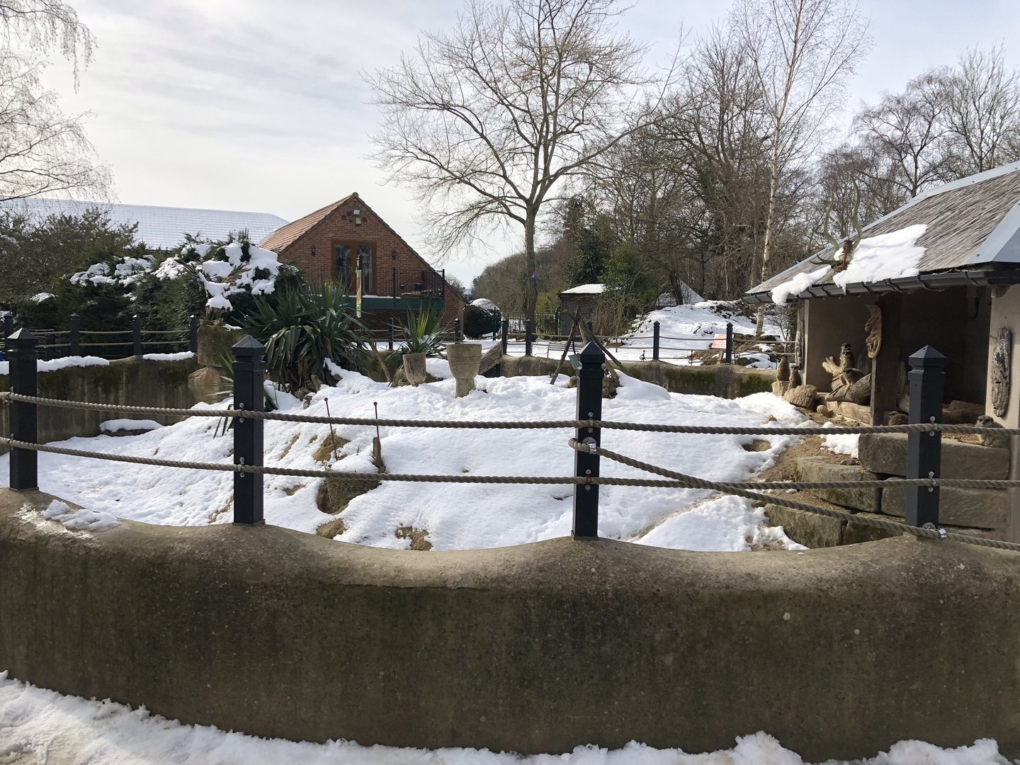 Meerkat/Porcupine Enclosure in the Snow at Tropical Butterfly House (March 2023)