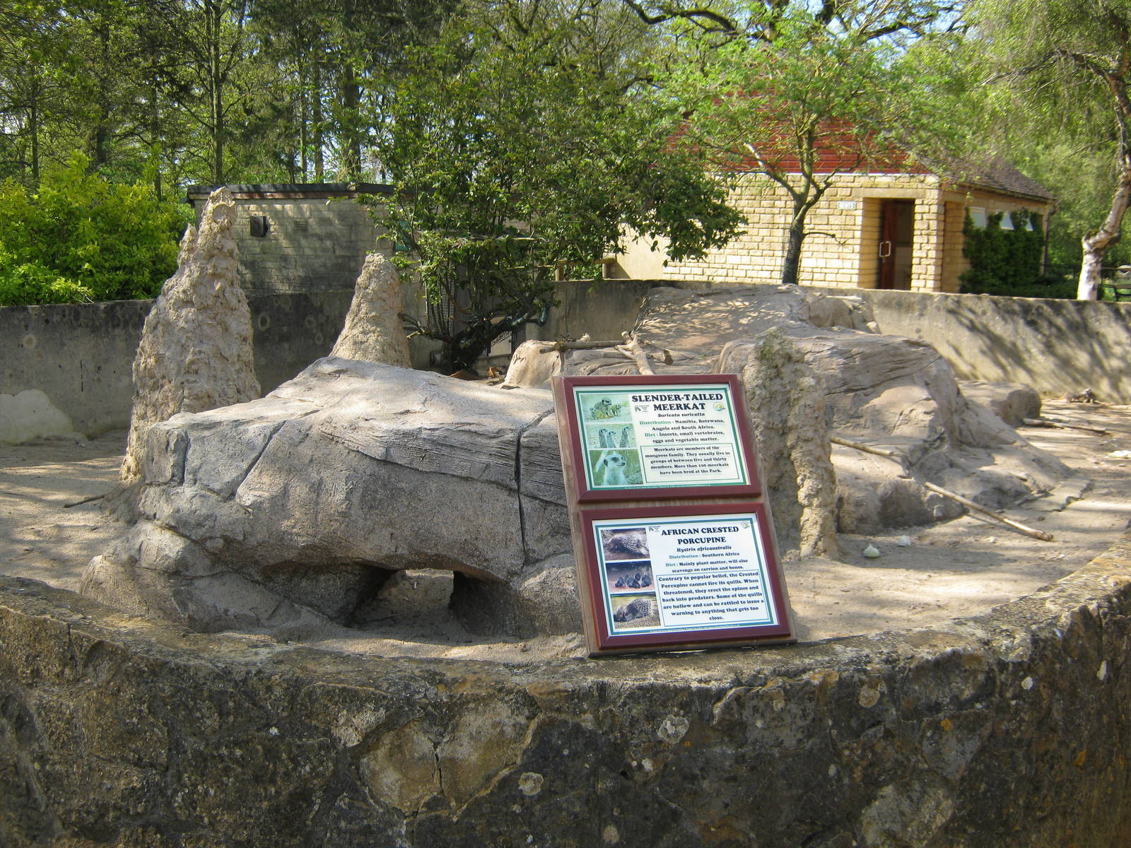 Meerkat/Porcupine enclosure