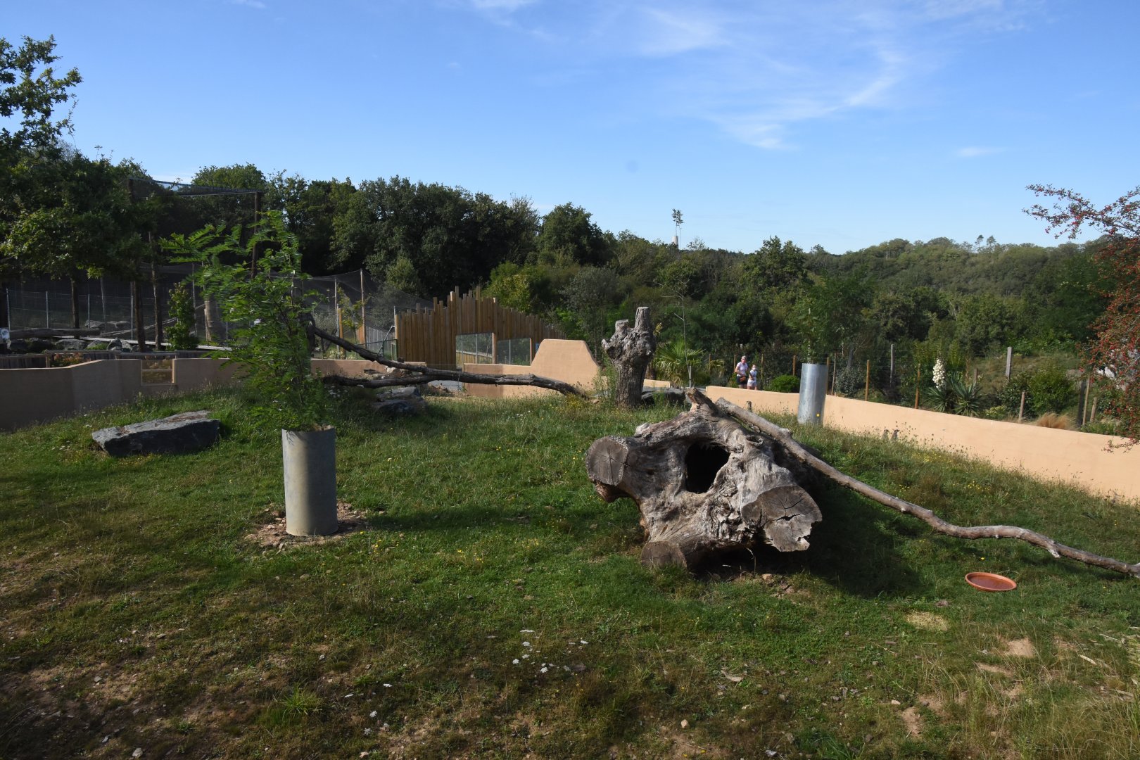 Meerkat & Porcupine enclosure