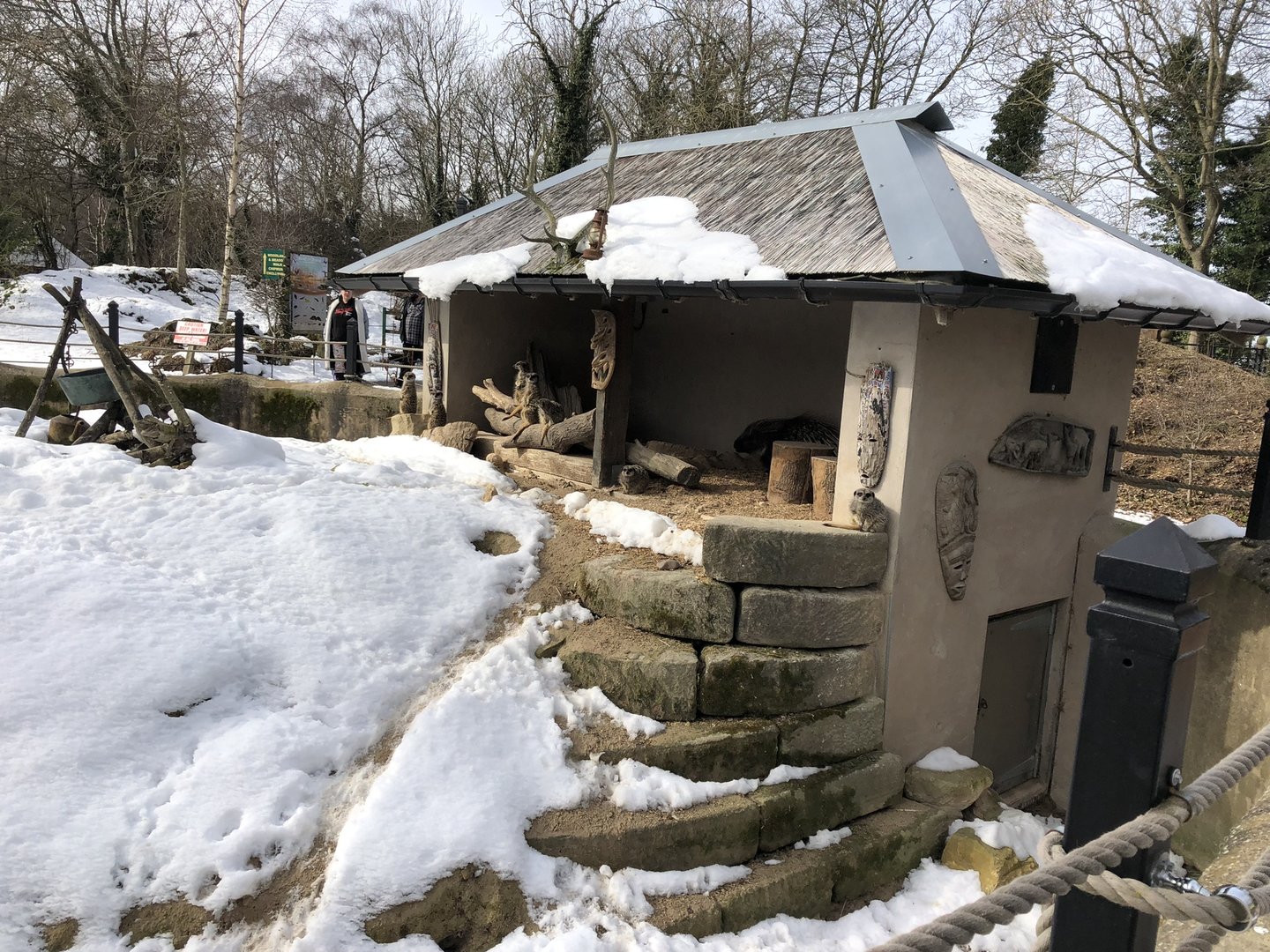 Meerkat/Porcupine House at Tropical Butterfly House (March 2023)
