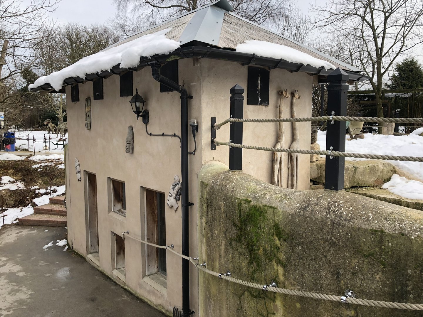 Meerkat/Porcupine House at Tropical Butterfly House (March 2023)