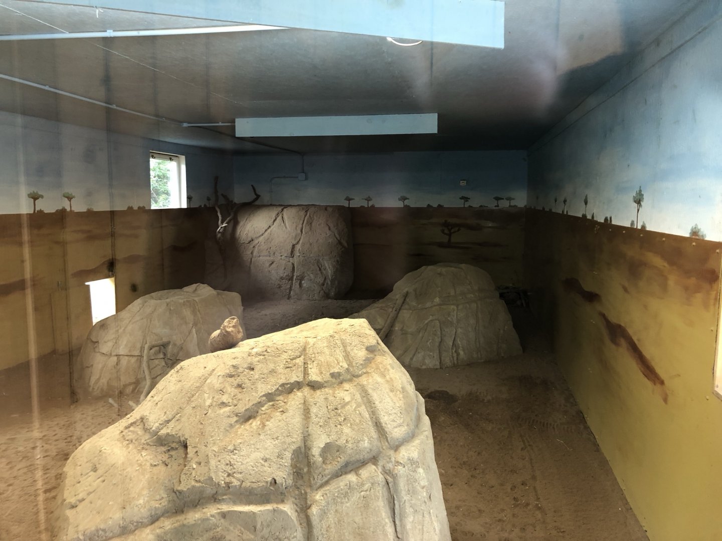 Meerkat/Porcupine Indoor Enclosure at Northumberland Country Zoo (September 2021)
