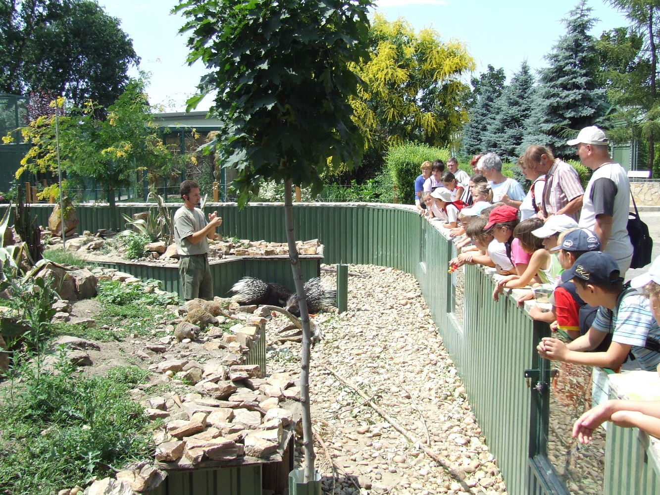 Meerkat & Porcupine mixed-species exhibit @ Jászberény Zoo, Hungary