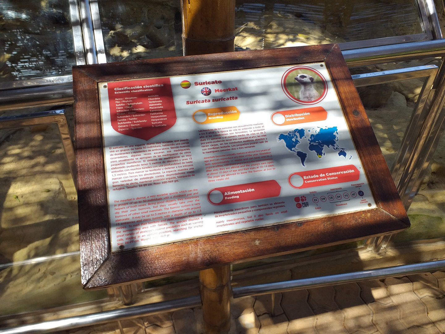 Meerkat sign -MundoMar Benidorm (2021)