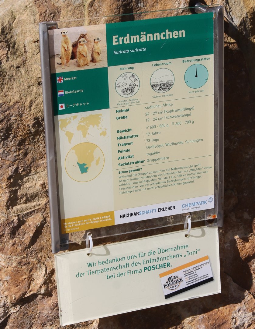 Meerkat-sign