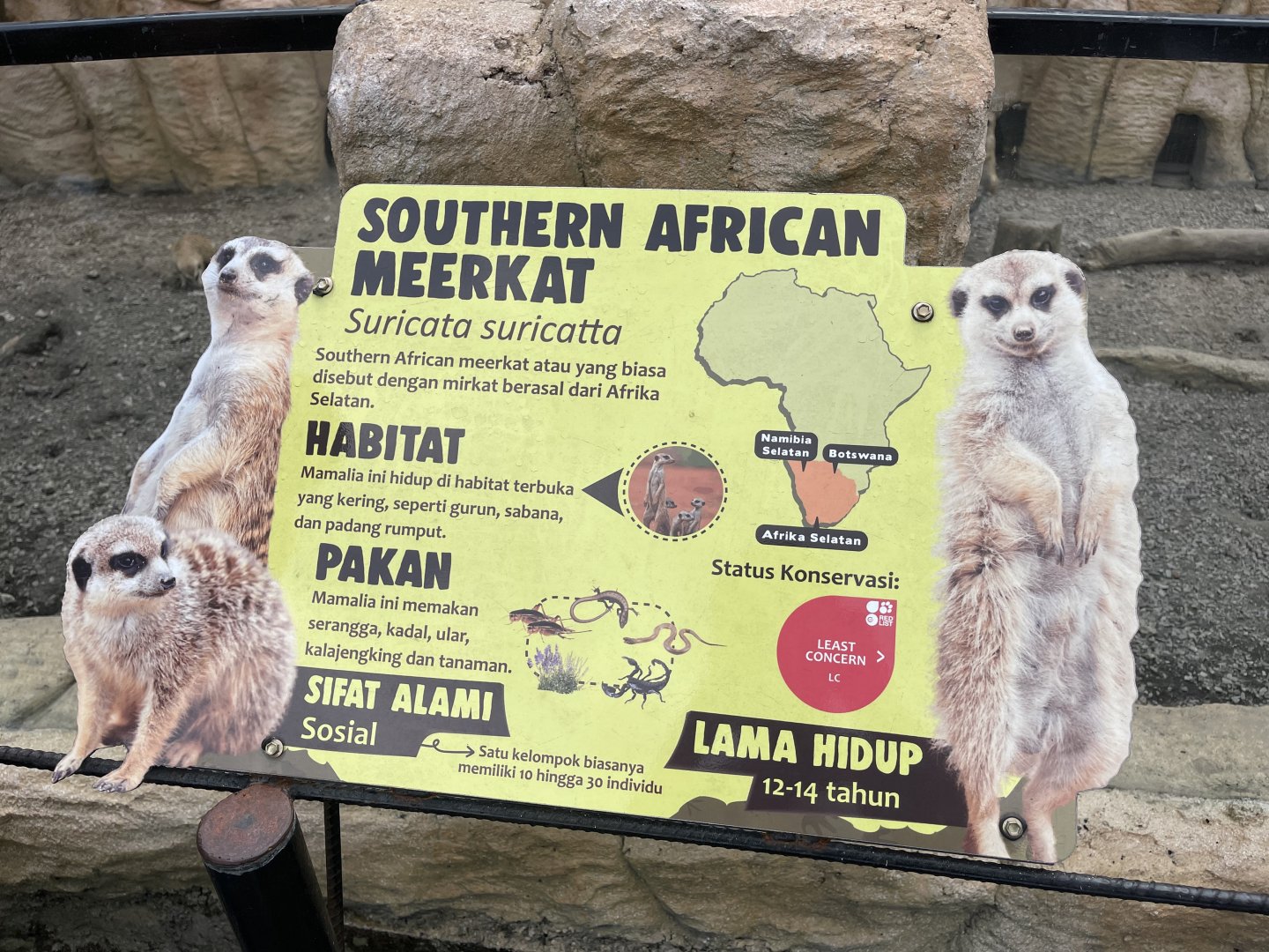 meerkat signage (1)