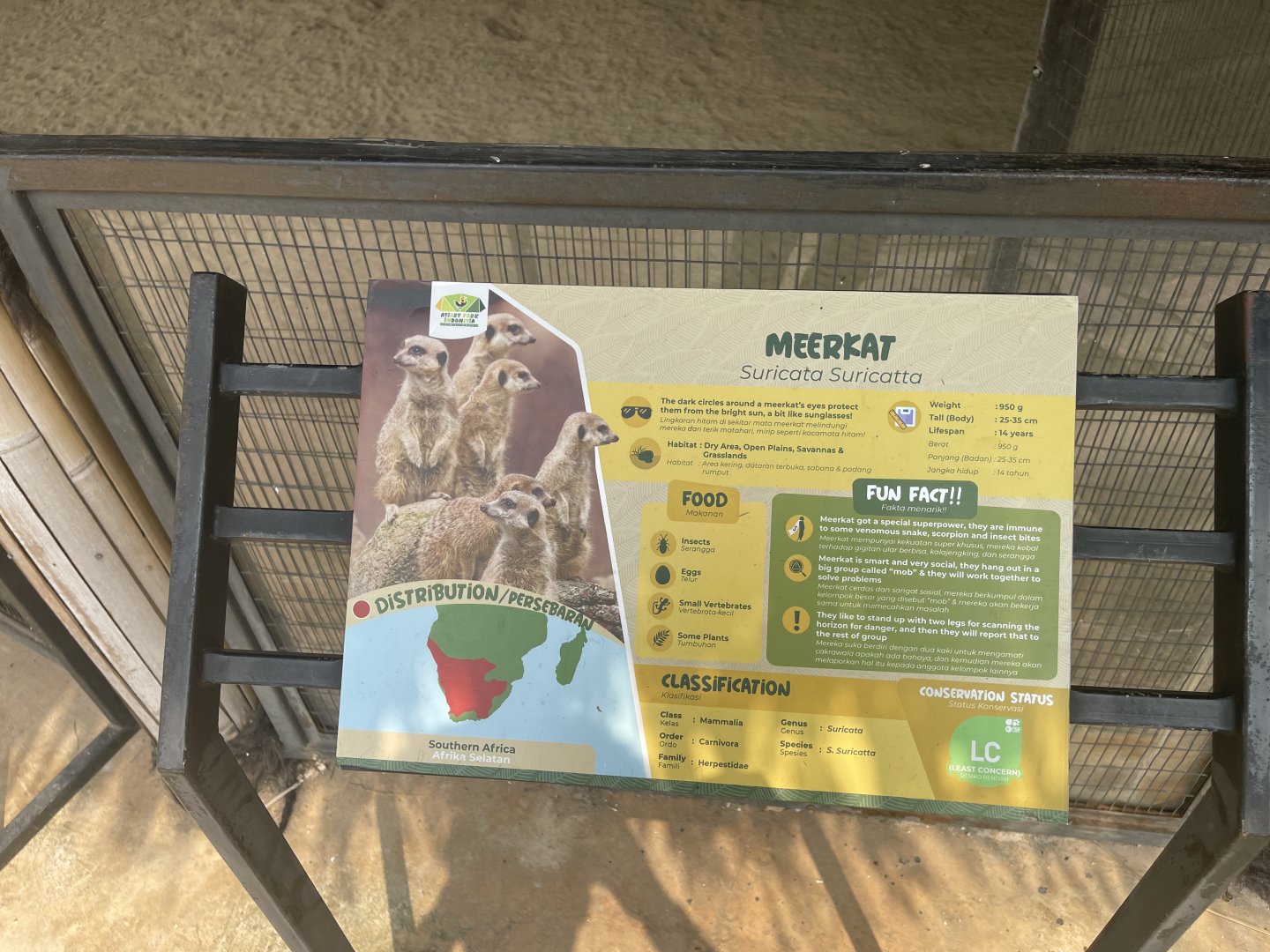 meerkat signage - aviary park