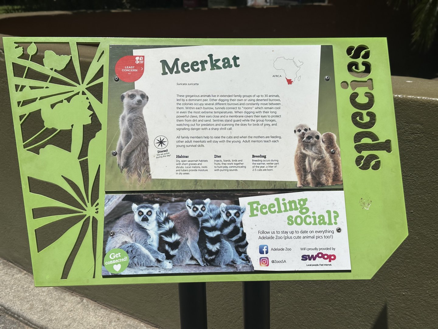 Meerkat signage by seal