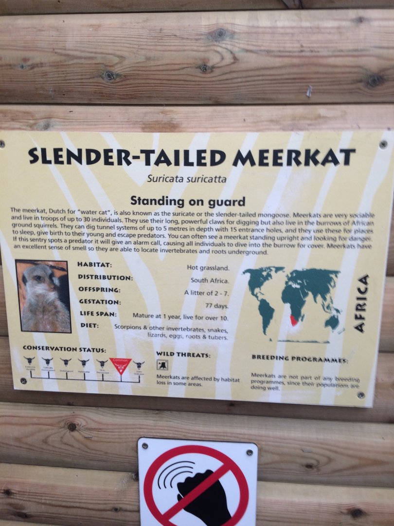 Meerkat signage