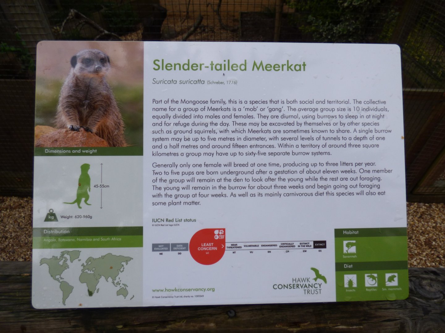 Meerkat signage