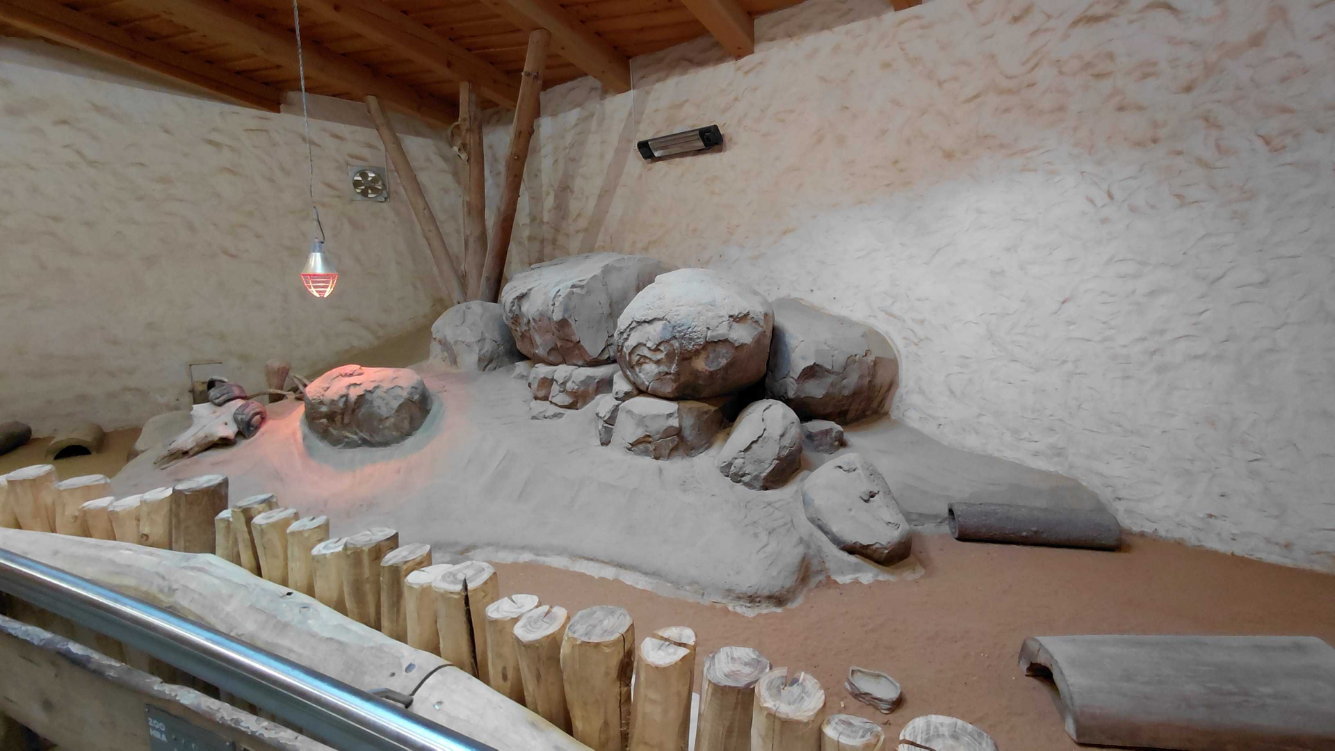 Meerkat + springhare indoor exhibit