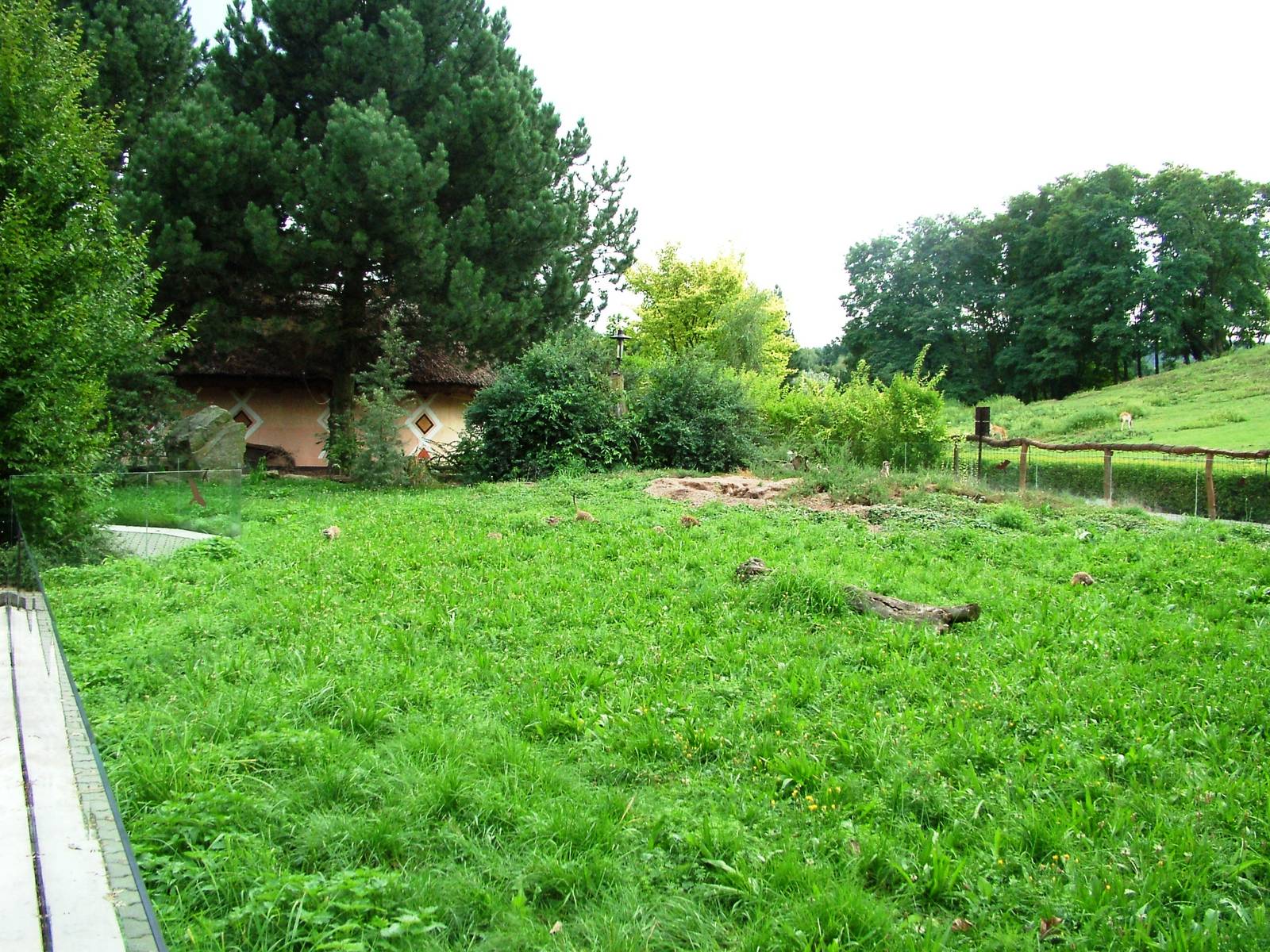 Meerkat/Squirrel Enclosure at Dvur Kralove, 26/08/12