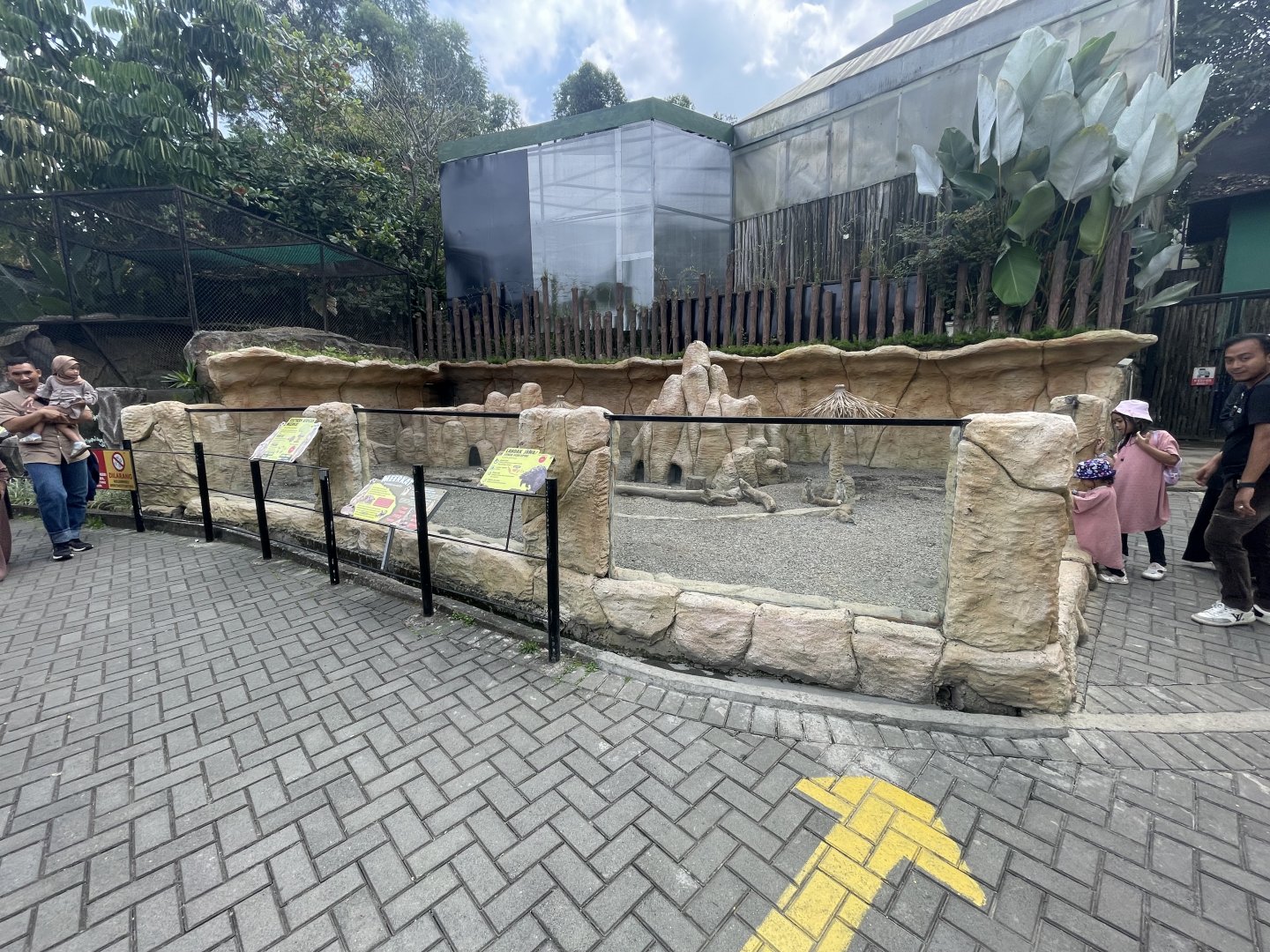 meerkat & sunda porcupine exhibit