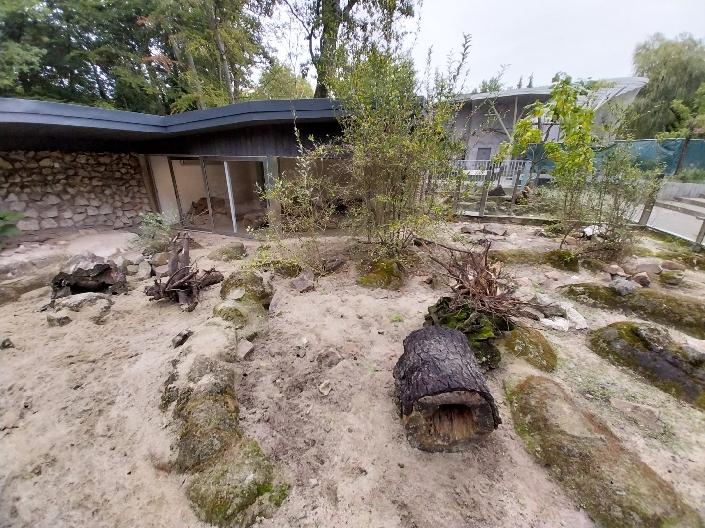 Meerkat (Suricata suricata) and Yellow Mongoose (Cynictis penicillata) enclosures