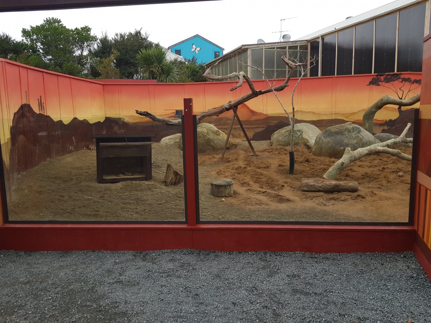 Meerkat (Suricata suricatta) and Cape Porcupine (Hystrix africaeaustralis) Enclosure Left