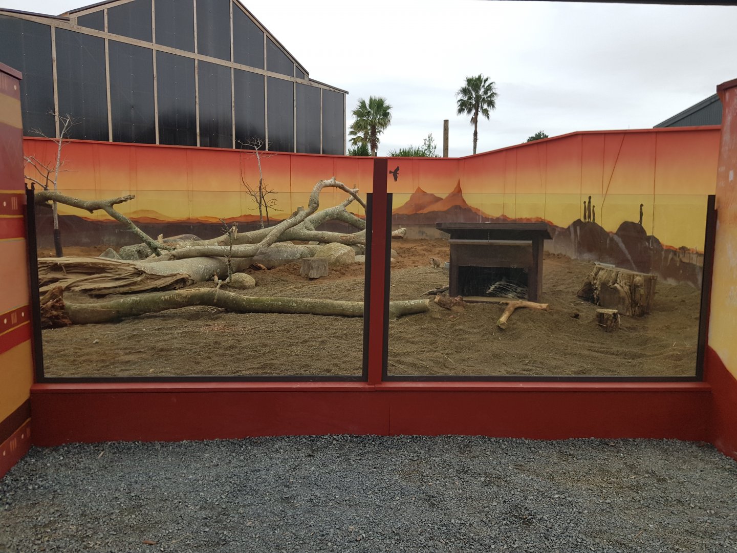 Meerkat (Suricata suricatta) and Cape Porcupine (Hystrix africaeaustralis) Enclosure Right