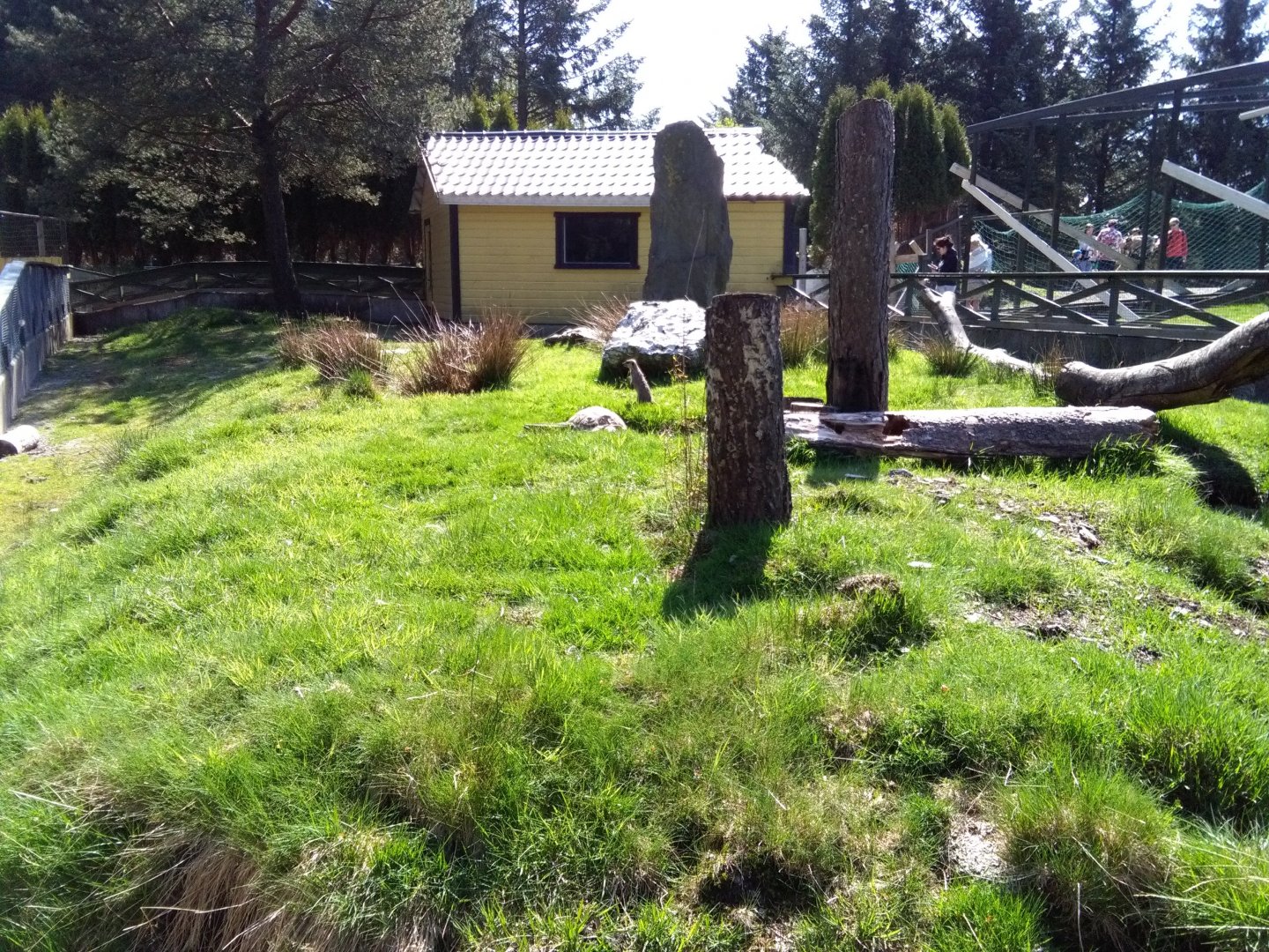 Meerkat/tortoise exhibit