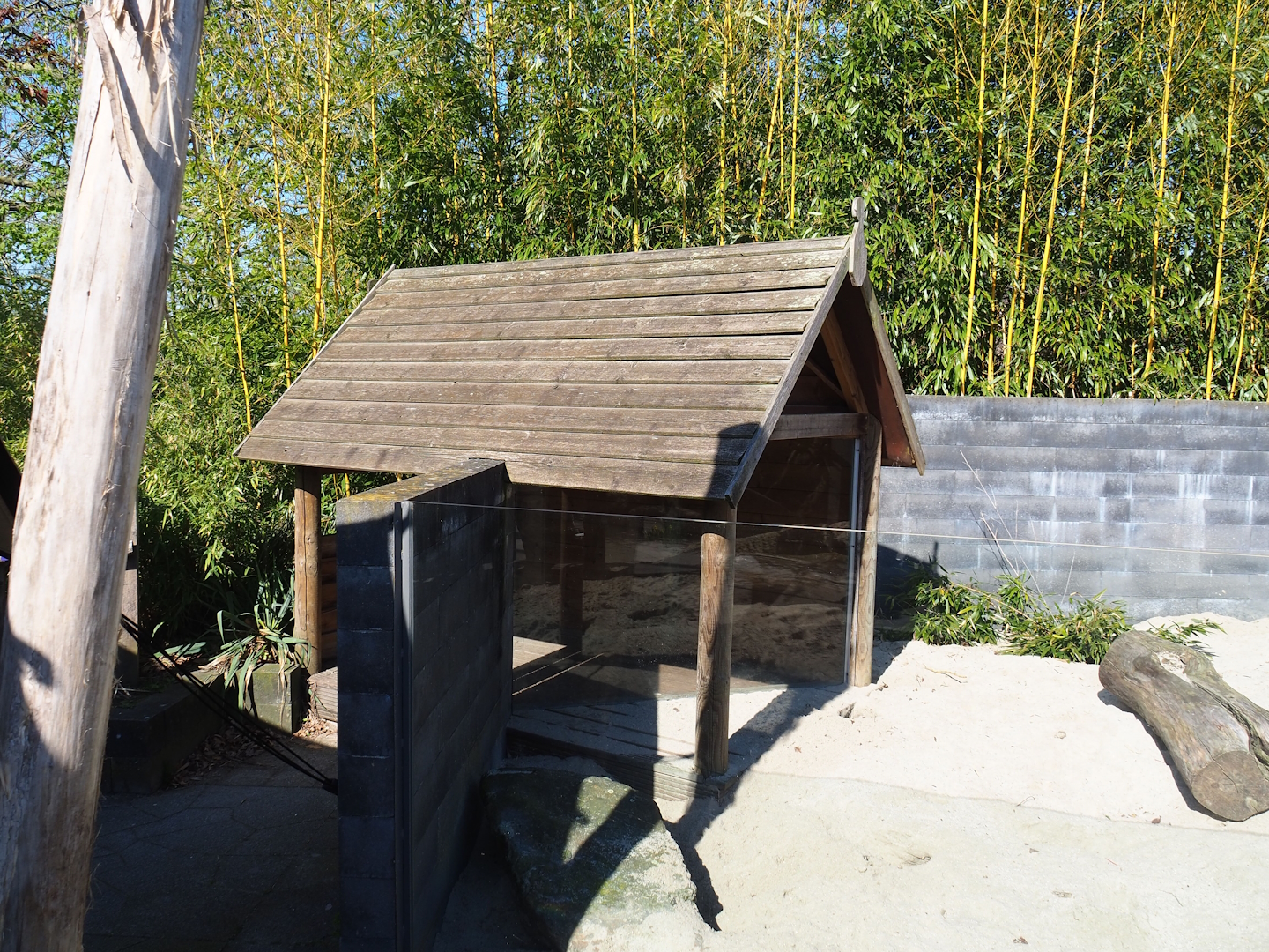 Meerkat viewing area for kids, 2023-04-30