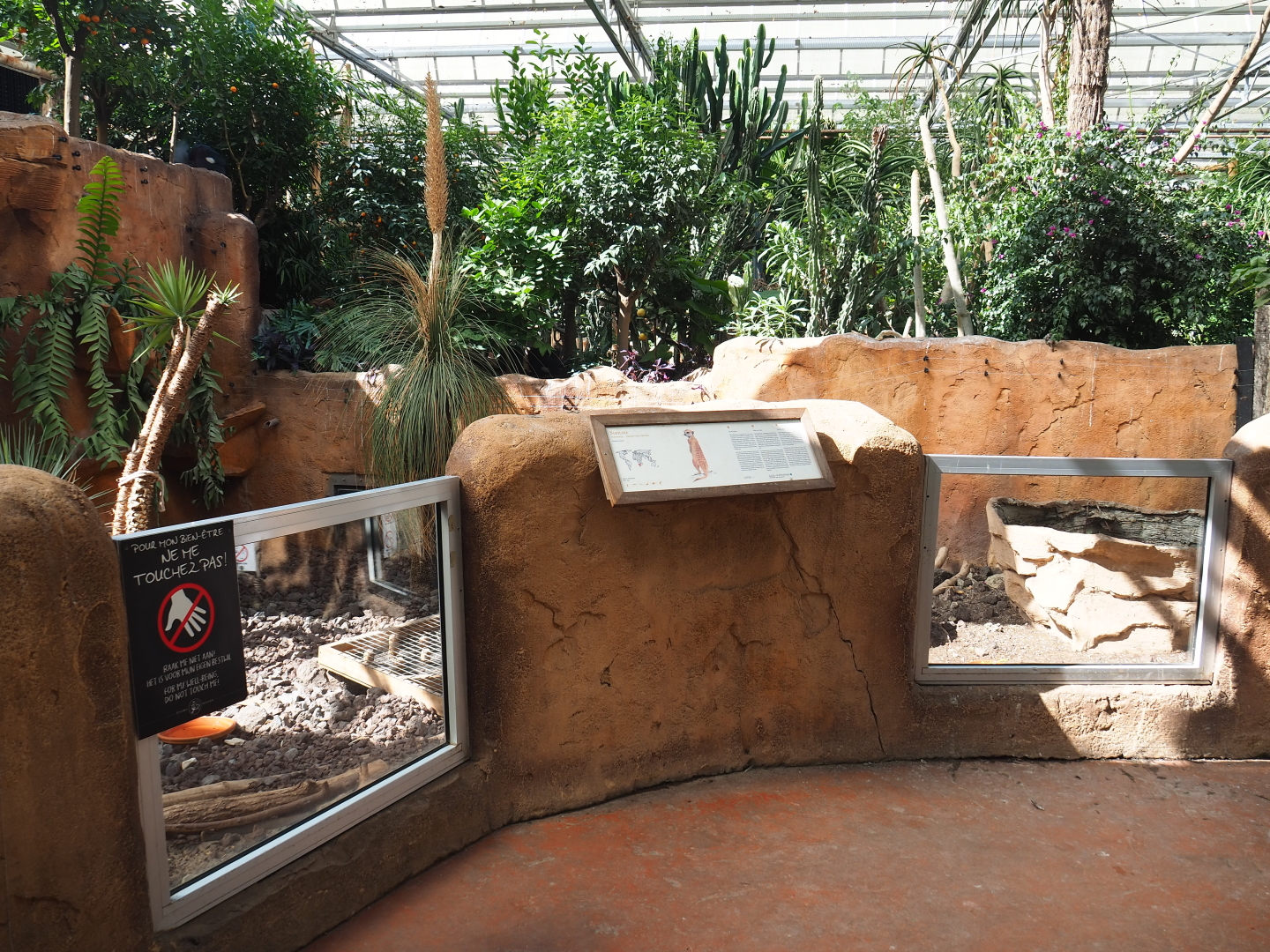 Meerkat viewing area in the Oasis, 2021-09-03