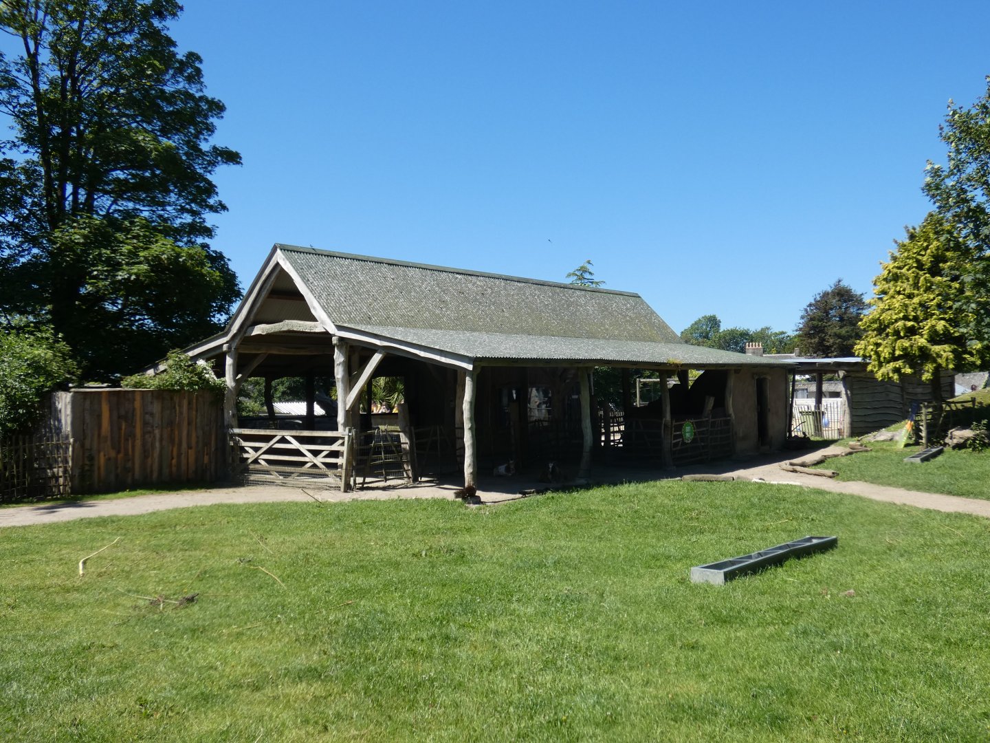 Meerkat viewing area