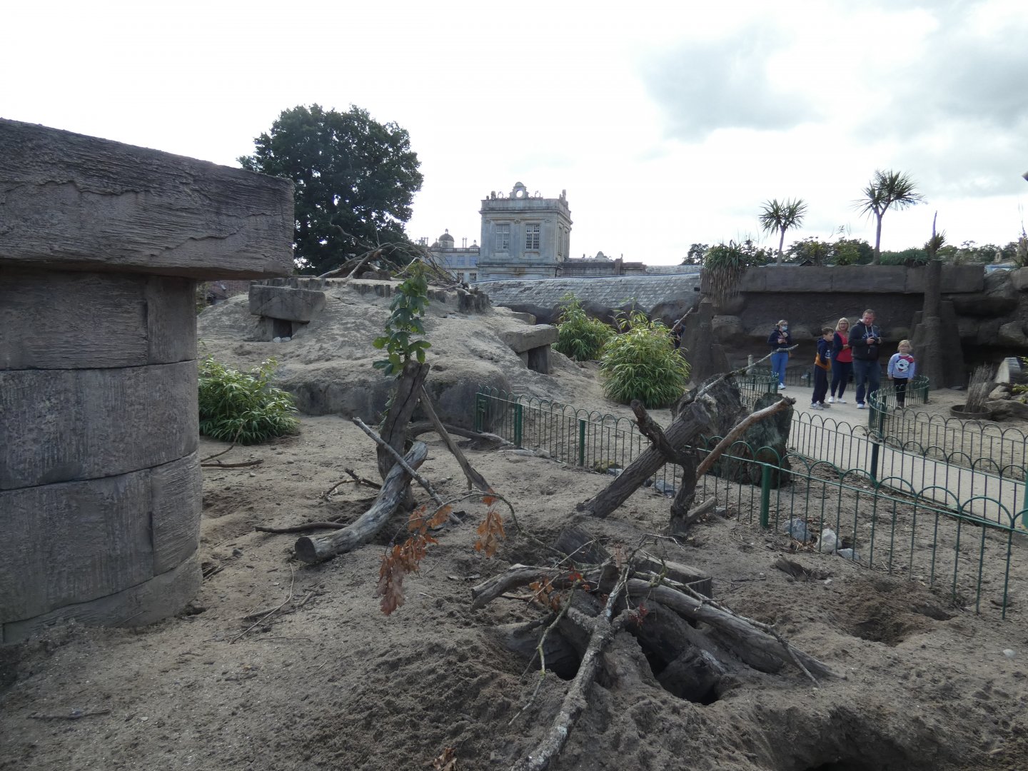 Meerkat Walk-through