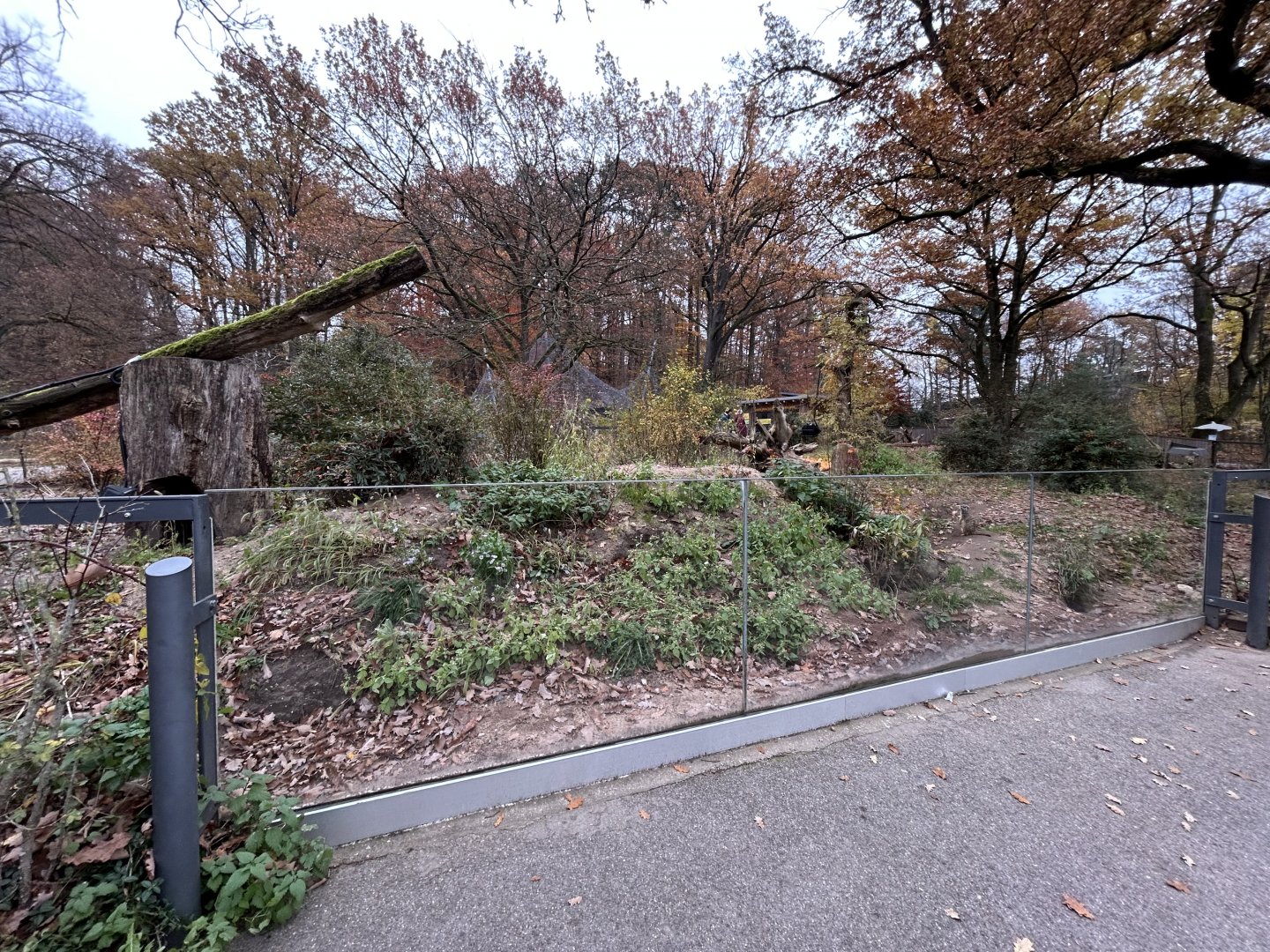 Meerkat & Yellow Mongoose Exhibit