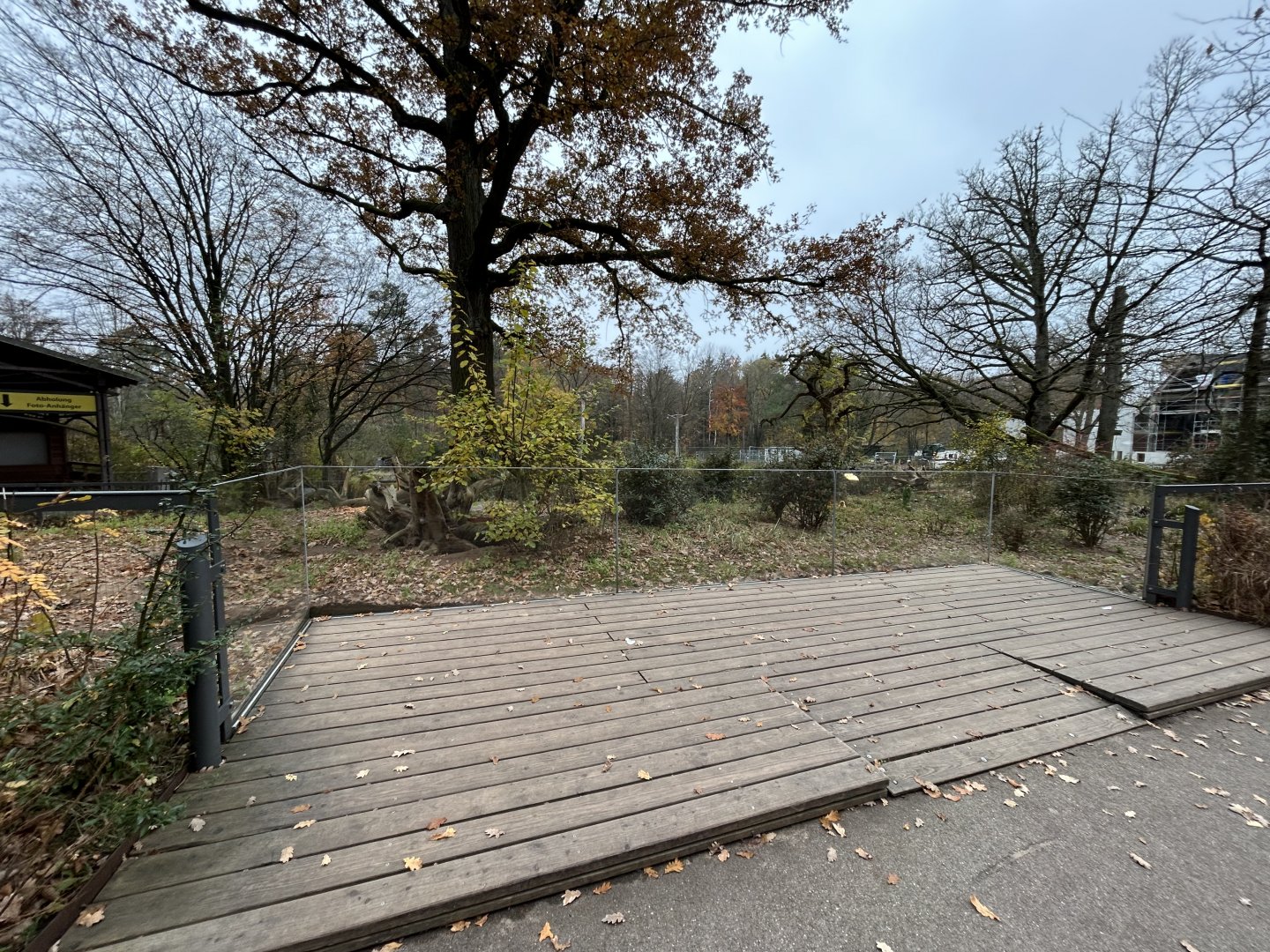 Meerkat & Yellow Mongoose Exhibit